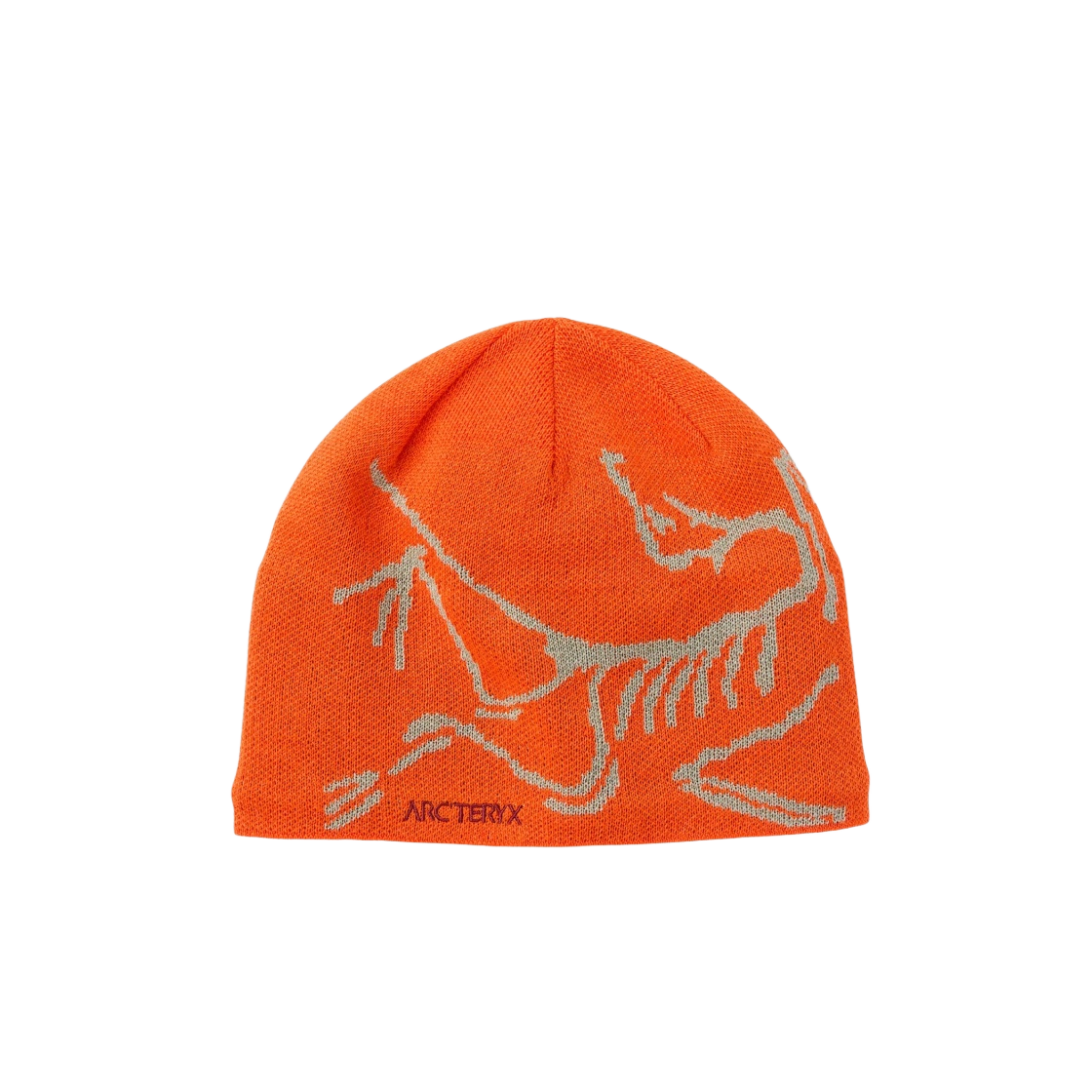 아크테릭스 버드 헤드 토크 페놈 | Arc'teryx | KREAM