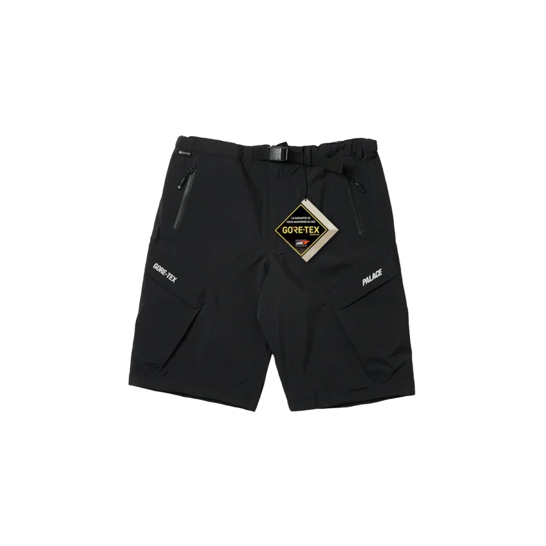 팔라스 고어텍스 R-TEK 카고 쇼츠 블랙 - 23FW | Palace | KREAM
