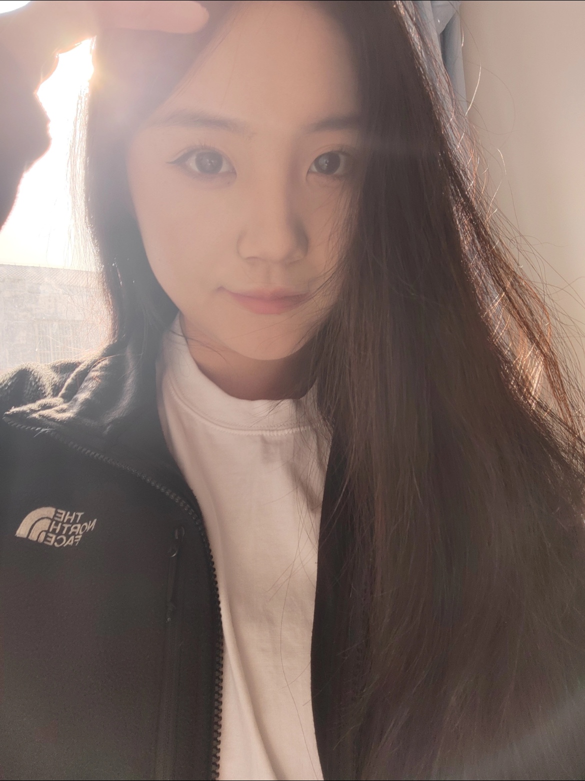 The North Face Ice Run Jacket Black 착용 스타일