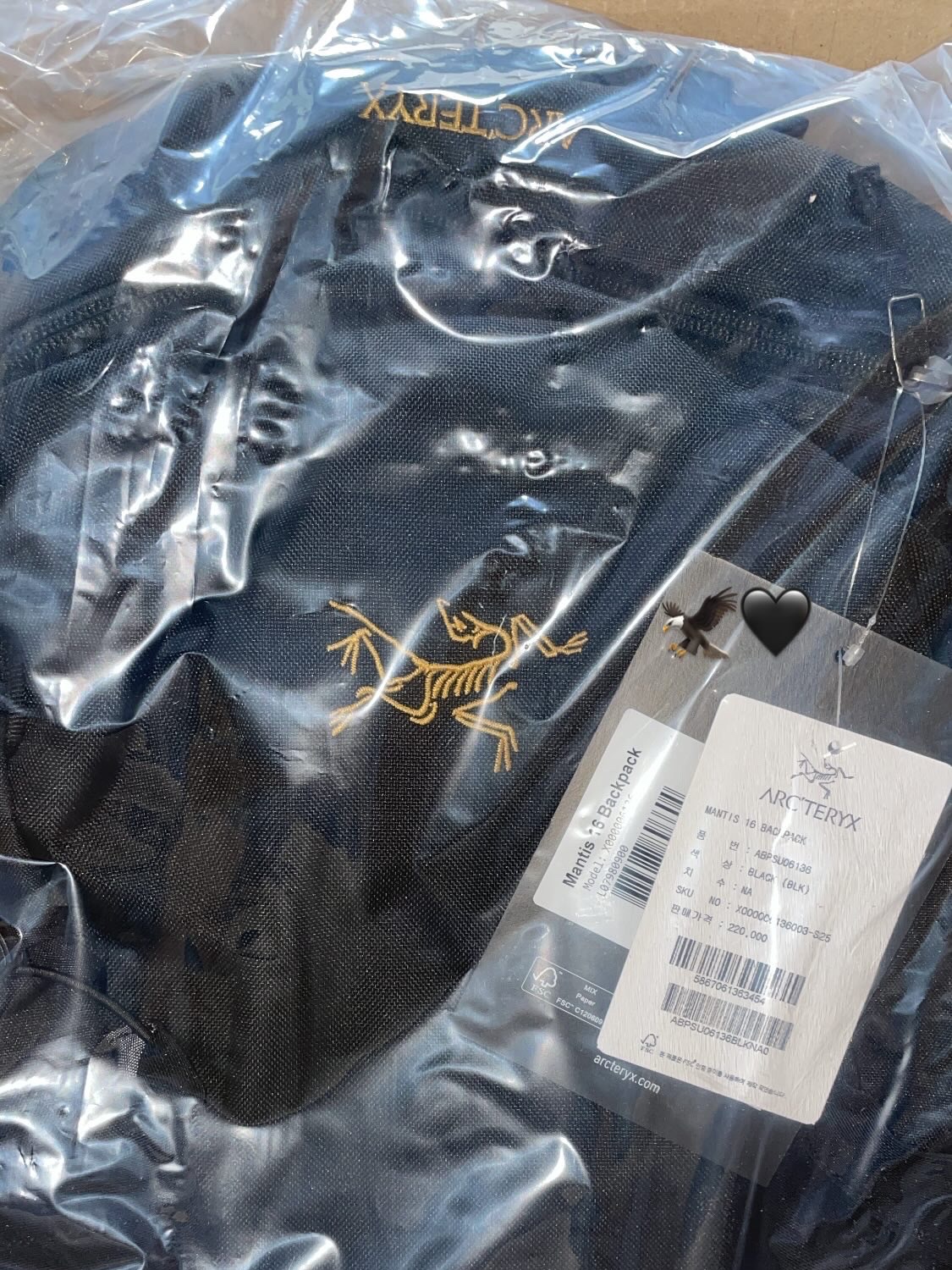 Arc'teryx Mantis 16 Backpack Black, Arc'teryx Keyring Metal 착용 스타일 - 1