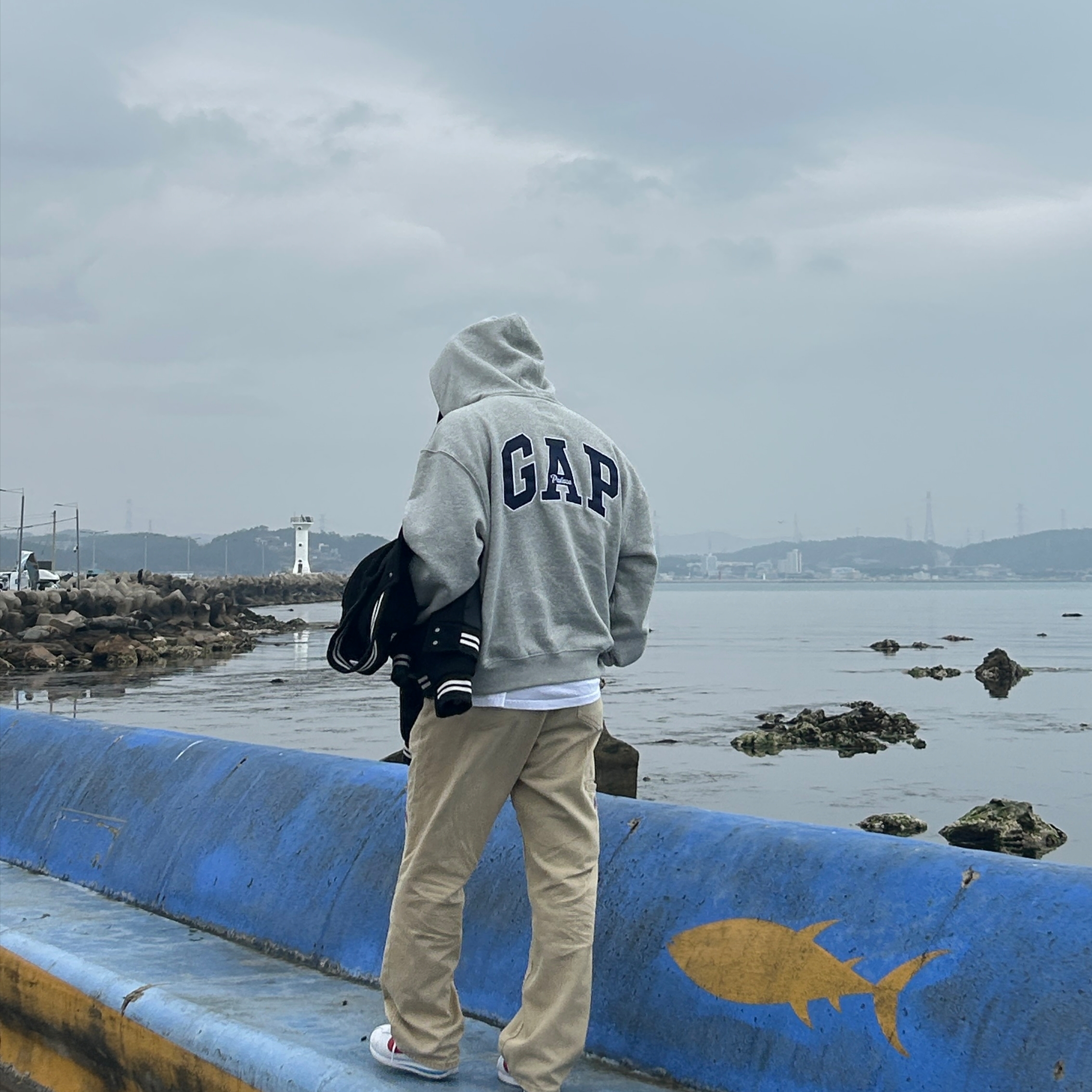 Palace x Gap Hood Grey - 24SS, Nike Cortez Varsity Red White & Blue 착용 스타일