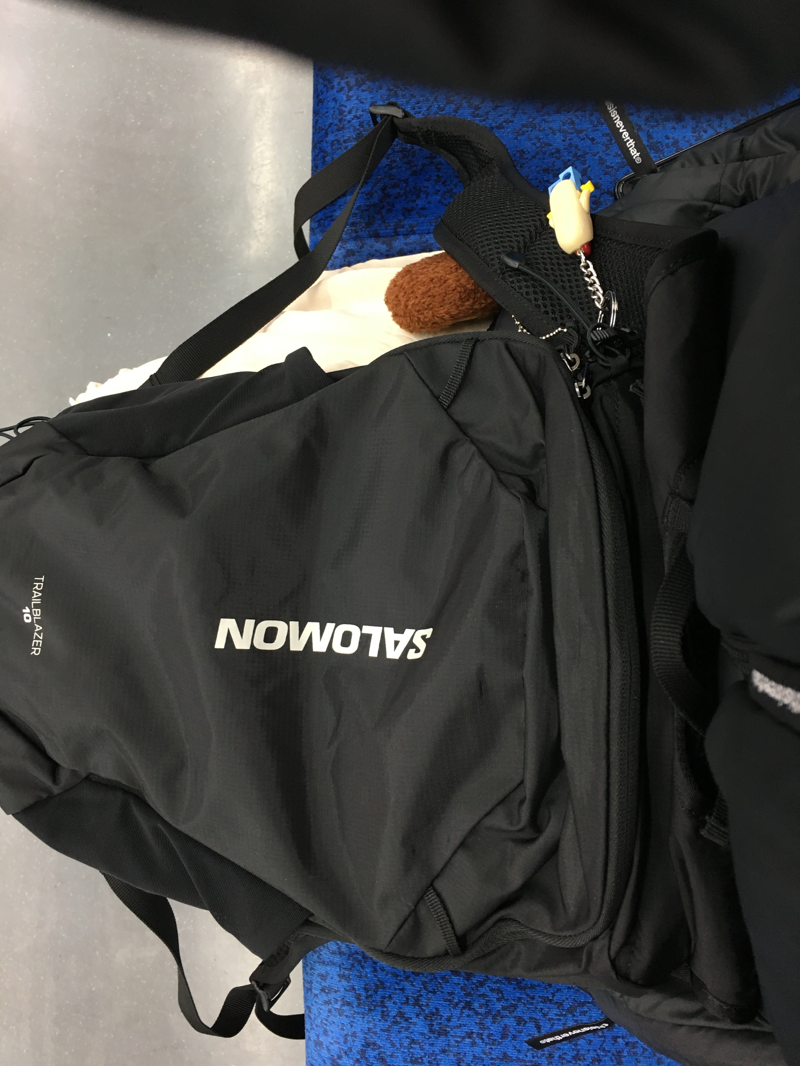 Salomon Trailblazer 10 Black, Thisisneverthat Pertex T Down Jacket Black 착용 스타일 - 3