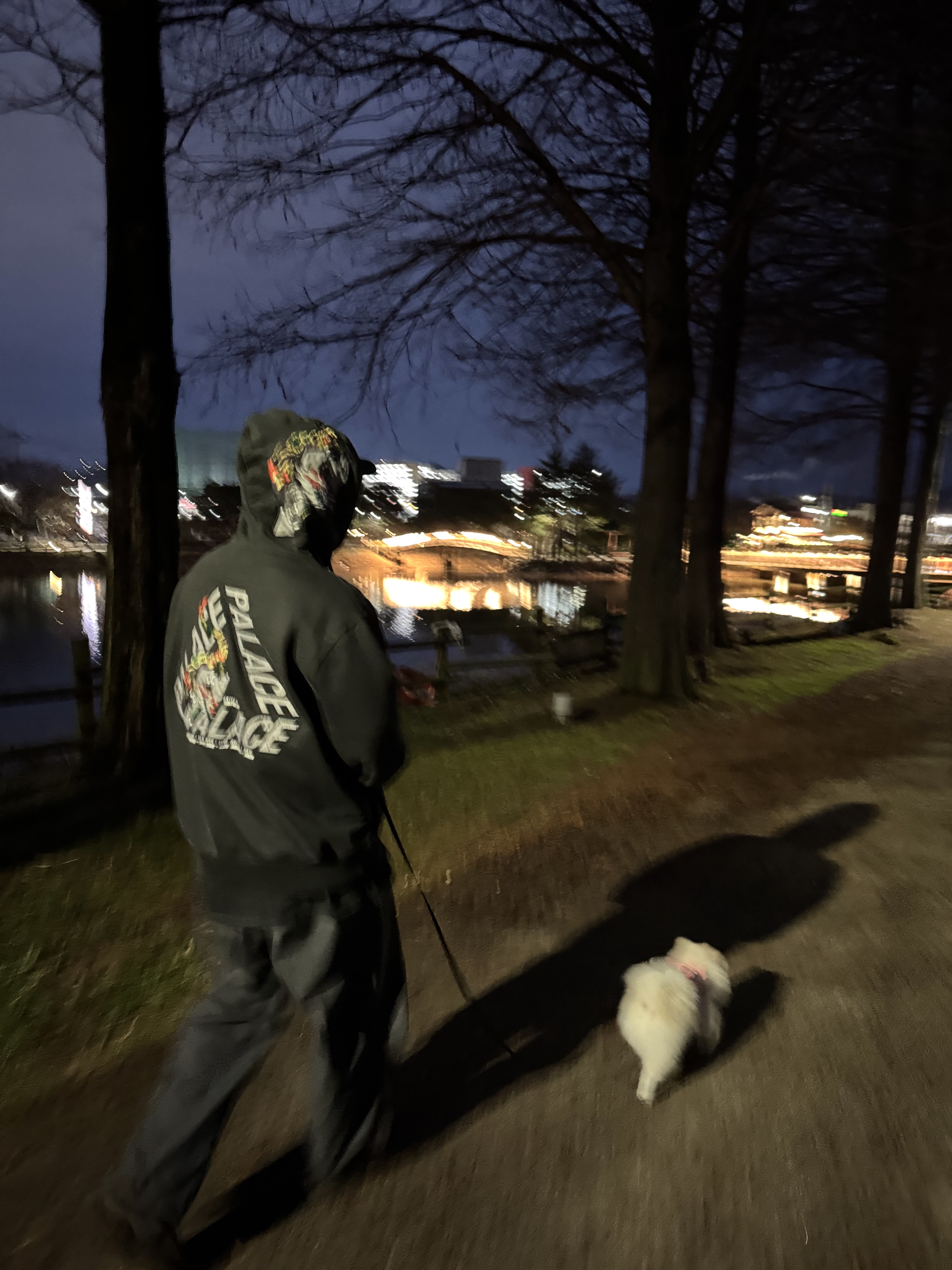 Palace Dragon P-3 Hood Black - 22FW 착용 스타일