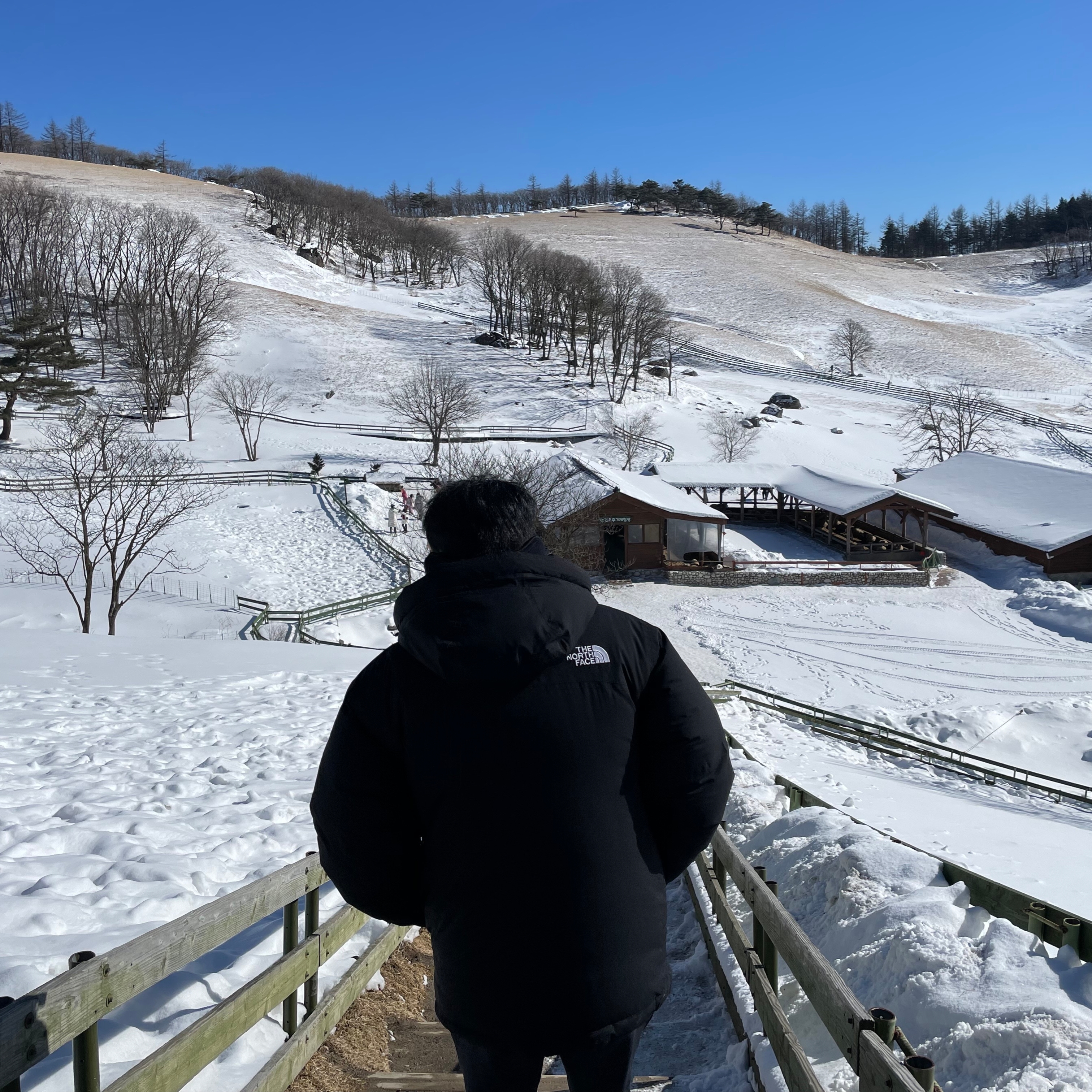 The North Face Himalayan Parka Black 착용 스타일 - 1