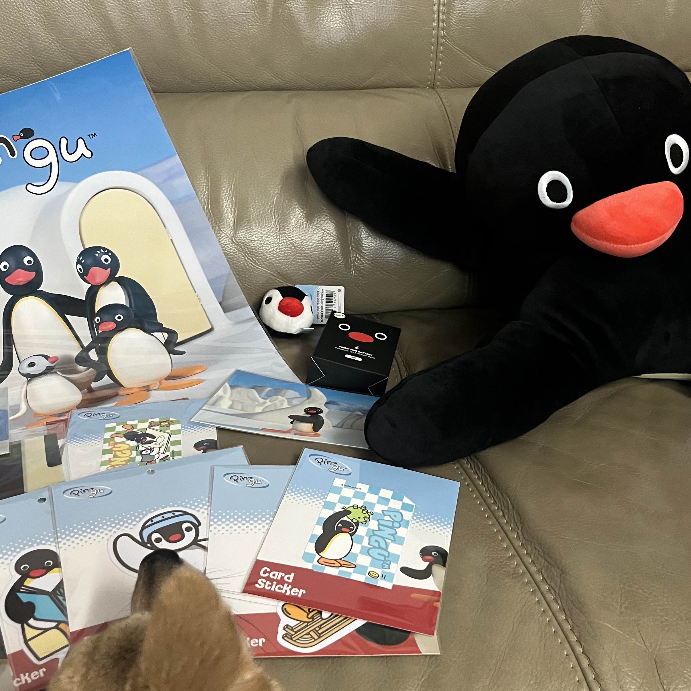 Pingu Body Pillow 착용 스타일