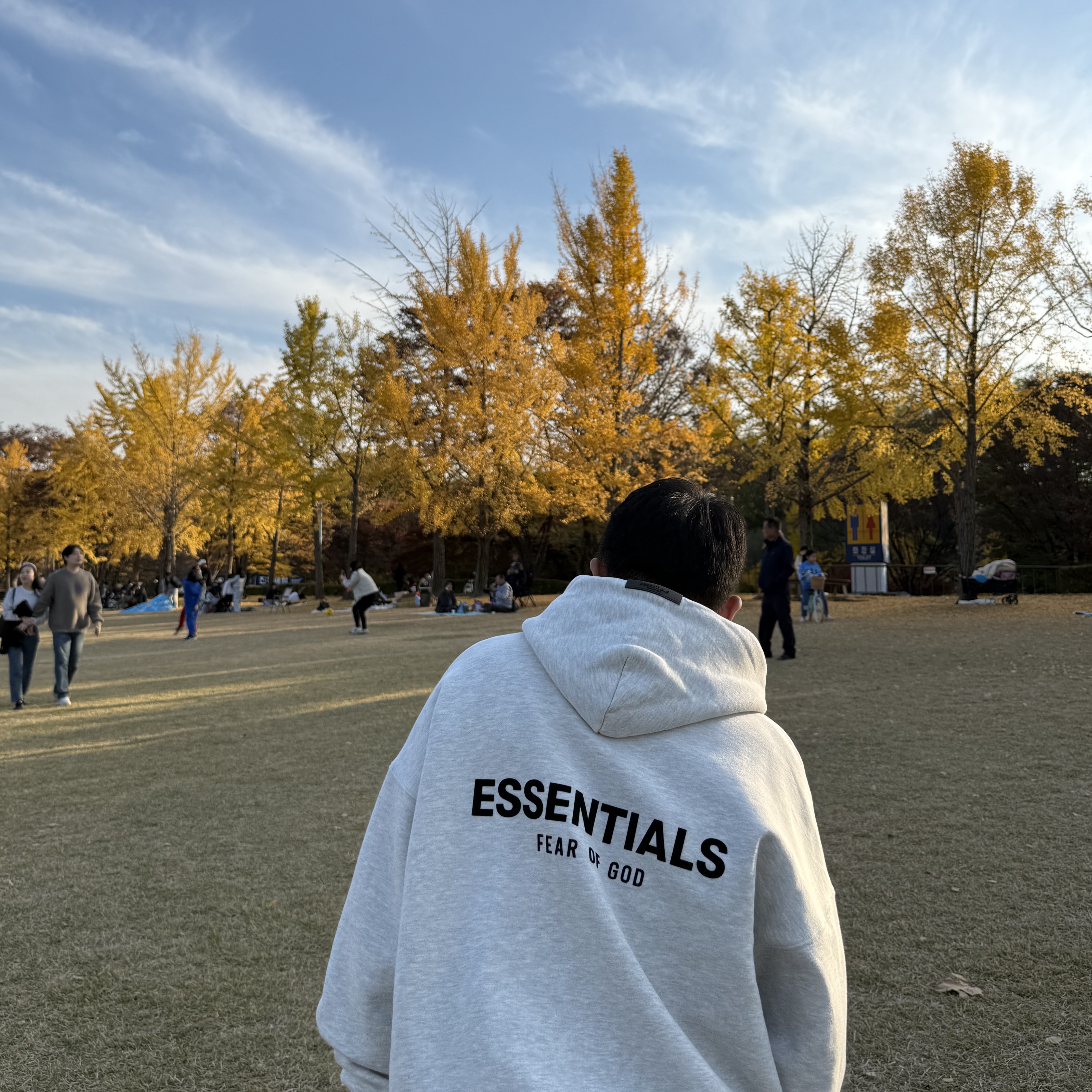 Essentials The Core Collection Hoodie Light Oatmeal 착용 스타일