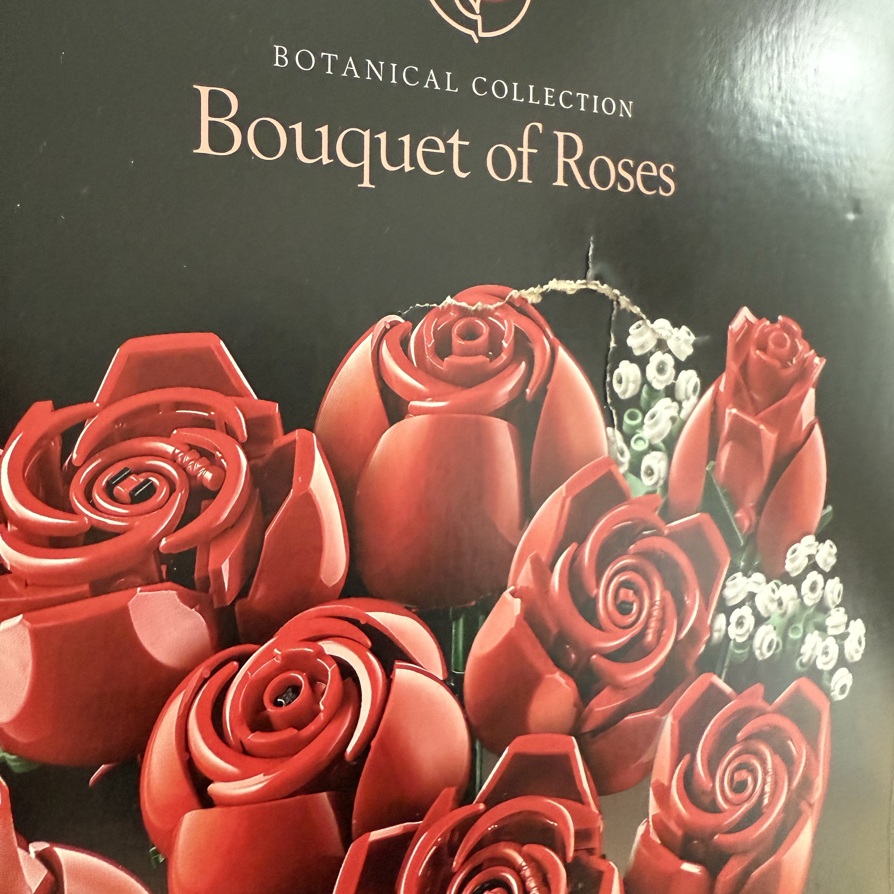 Lego Bouquet of Roses 착용 스타일 - 1