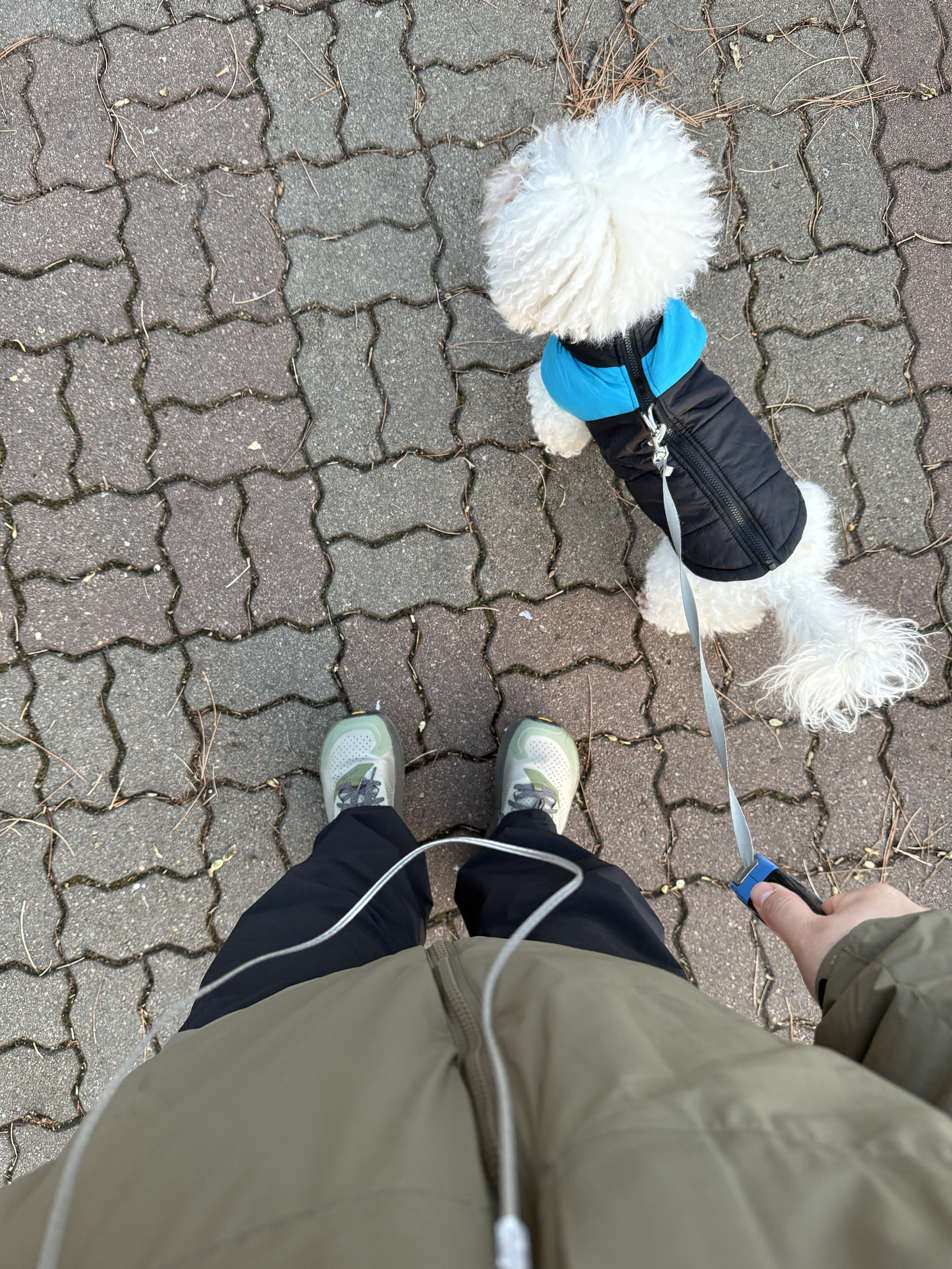 Arc'teryx Rampart Pants Black 착용 스타일