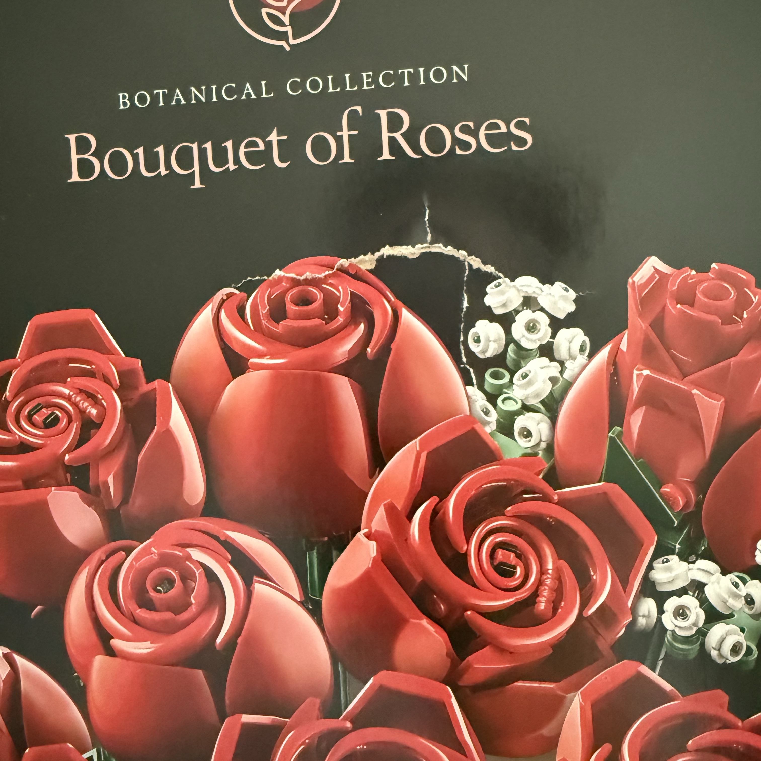 Lego Bouquet of Roses 착용 스타일 - 2