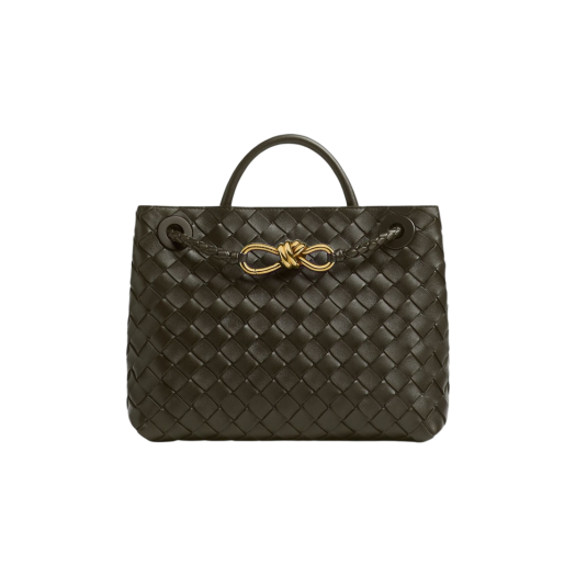 Bottega Veneta Small Andiamo Khaki