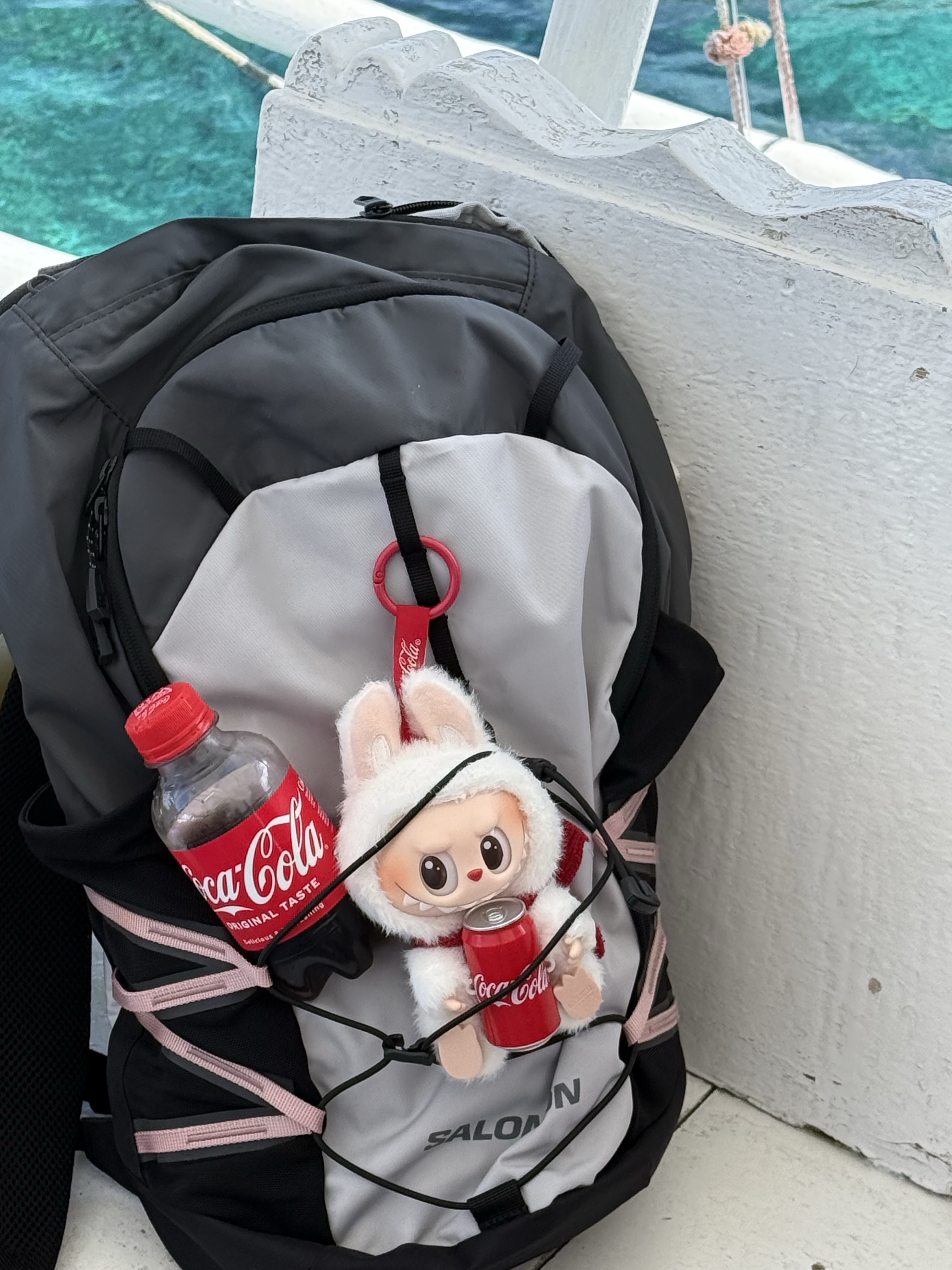 Salomon Quick Lace LT Backpack Light Grey, Pop Mart Labubu Coca Cola Series Keyring Sealed Case (6 Blind Boxes) 착용 스타일
