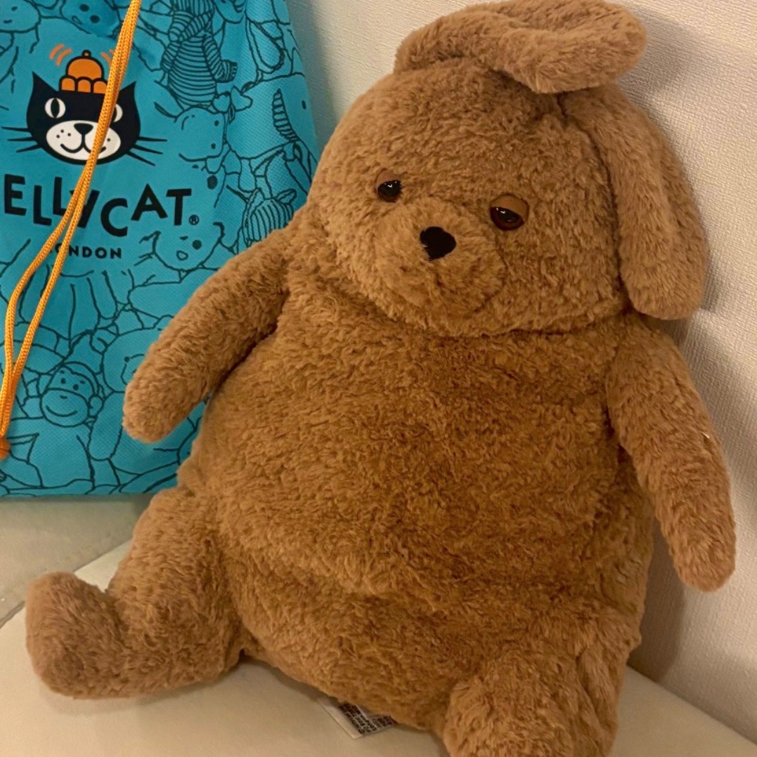 Jellycat Amore Dog Brown 착용 스타일 - 2