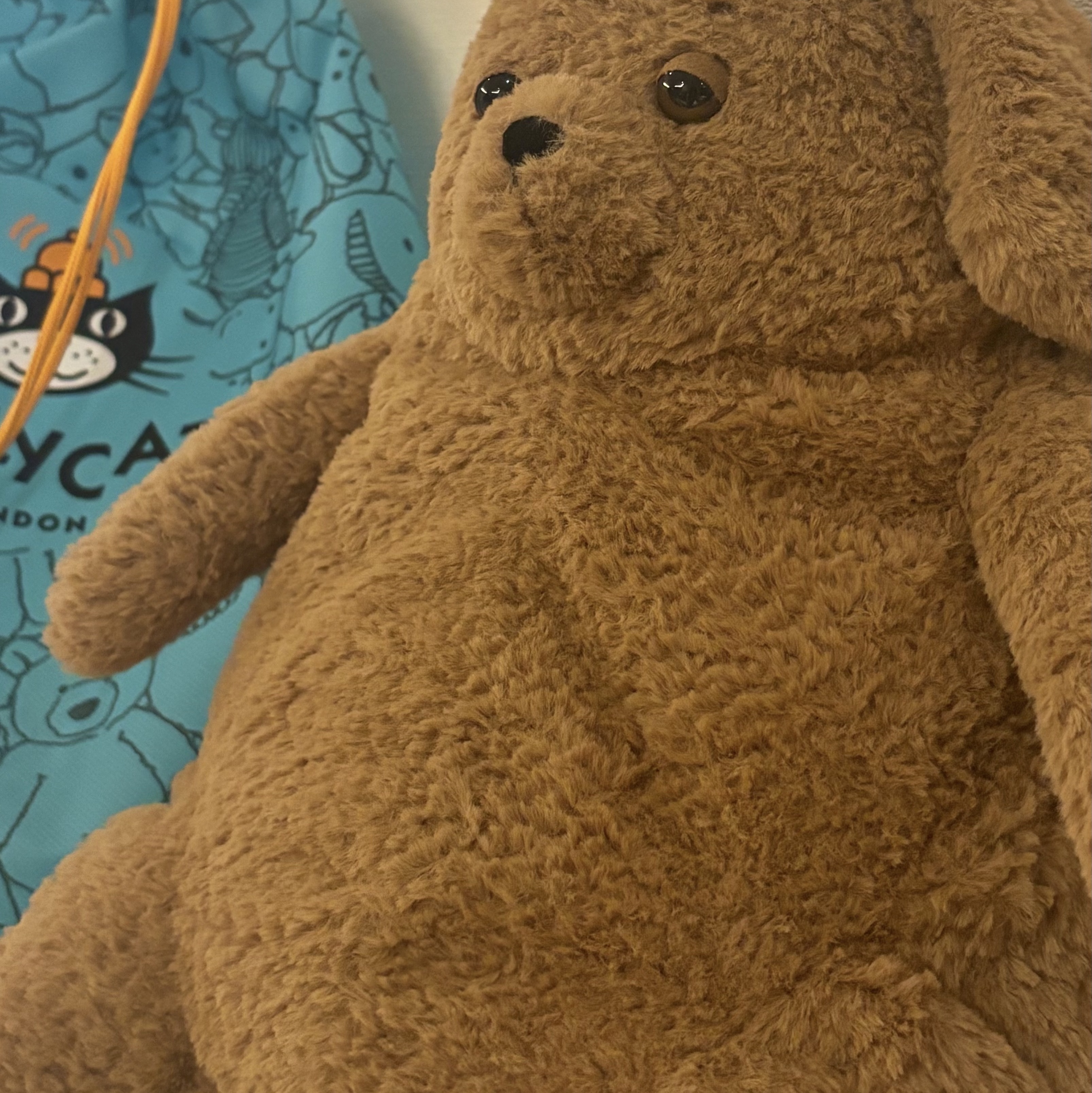 Jellycat Amore Dog Brown 착용 스타일 - 1