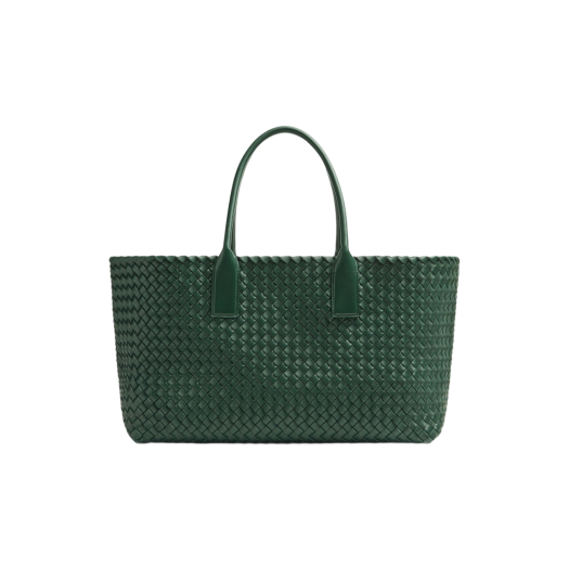 Bottega Veneta Medium Cabat Raintree