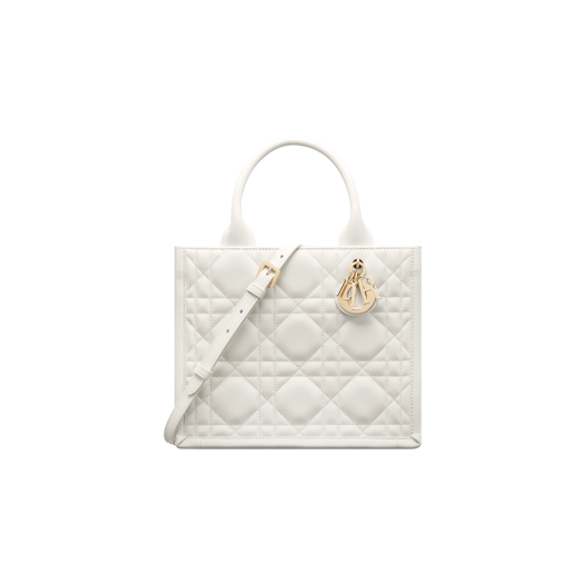 Dior Small Dior Book Tote Latte