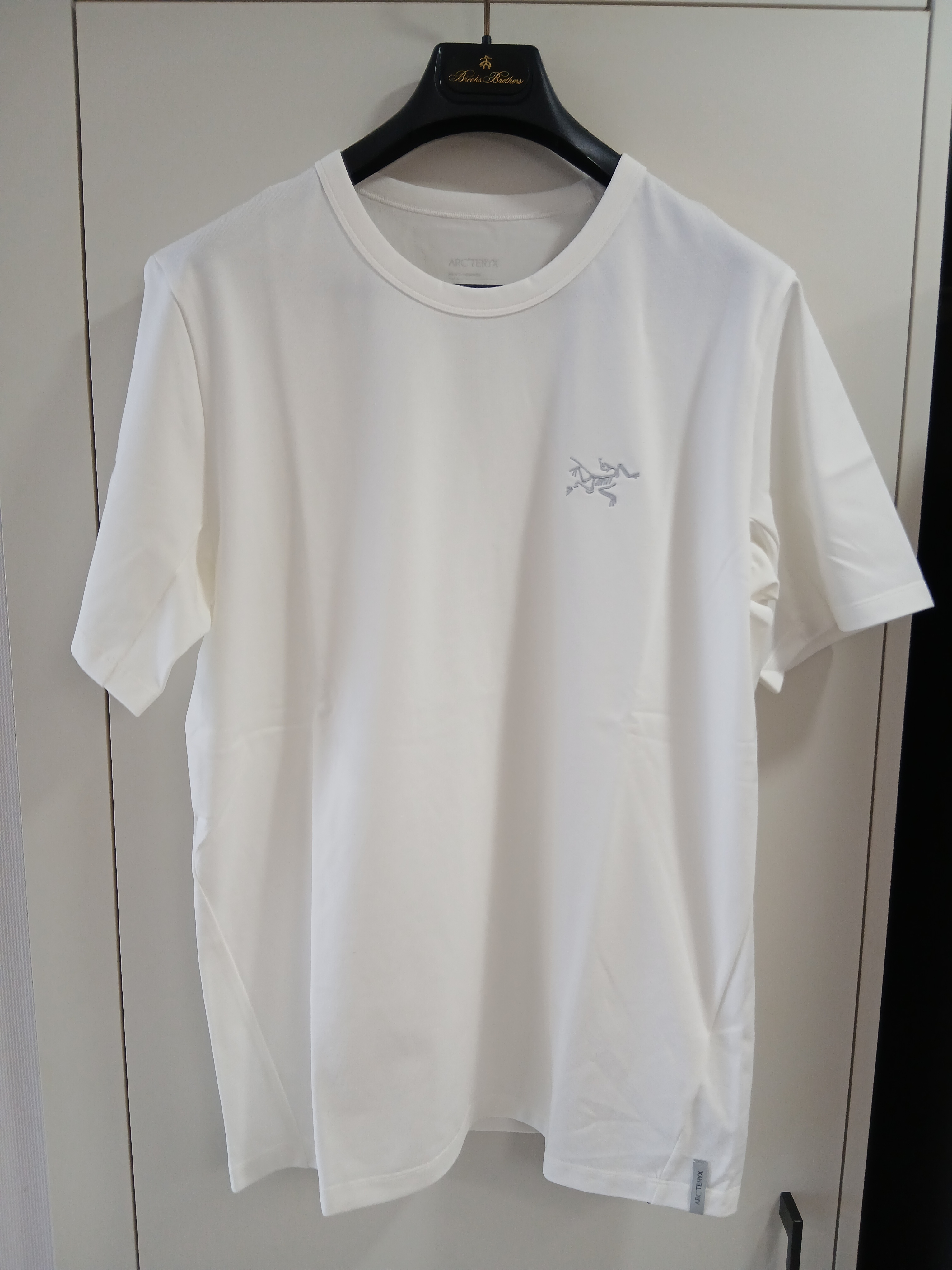 Arc'teryx Captive Arc'word SS T-Shirt White Light, Arc'teryx Captive Arc'Word SS T-Shirt White Light 착용 스타일 - 1