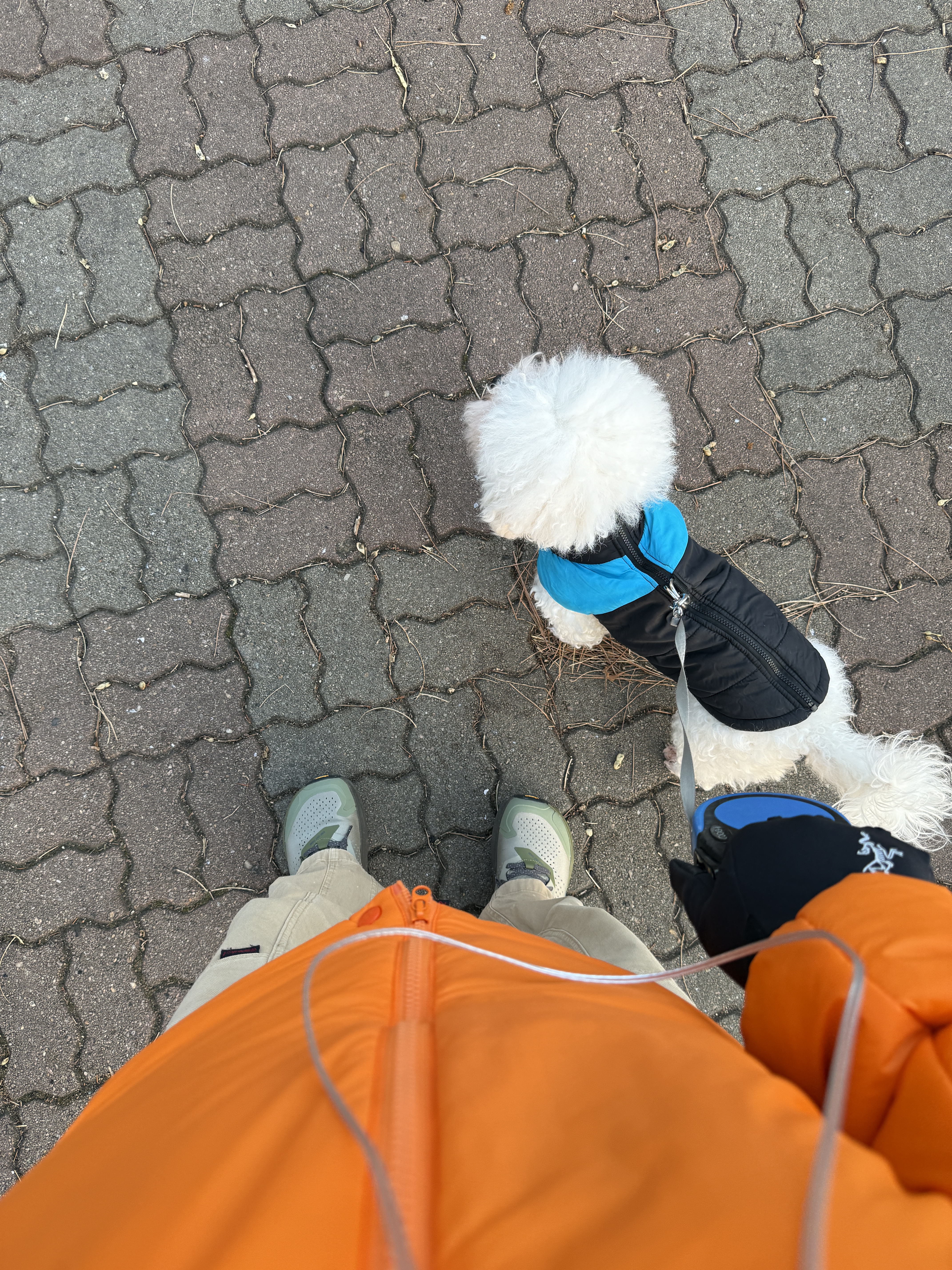 Arc'teryx Nuclei SV Parka Phenom 착용 스타일