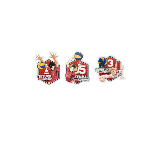 Haikyuu!! Removable Deco Sticker Set Nekoma High School (Set of 5)