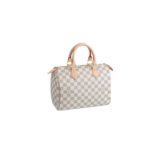 Louis Vuitton Speedy 25 Damier Azur
