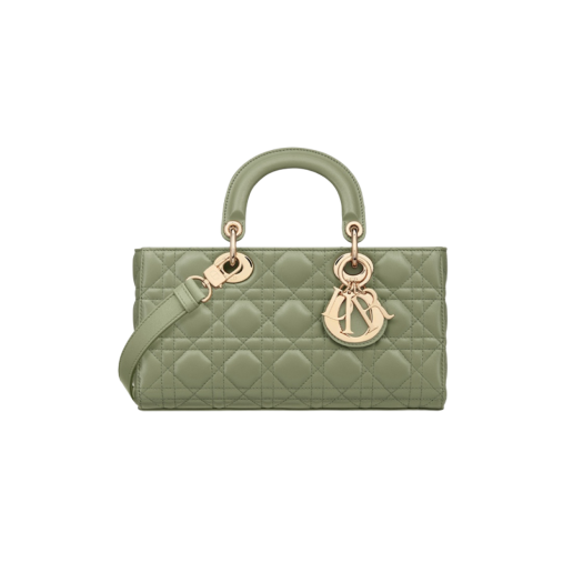 Dior Medium Lady D-Joy Bag Pastel Peyote Green