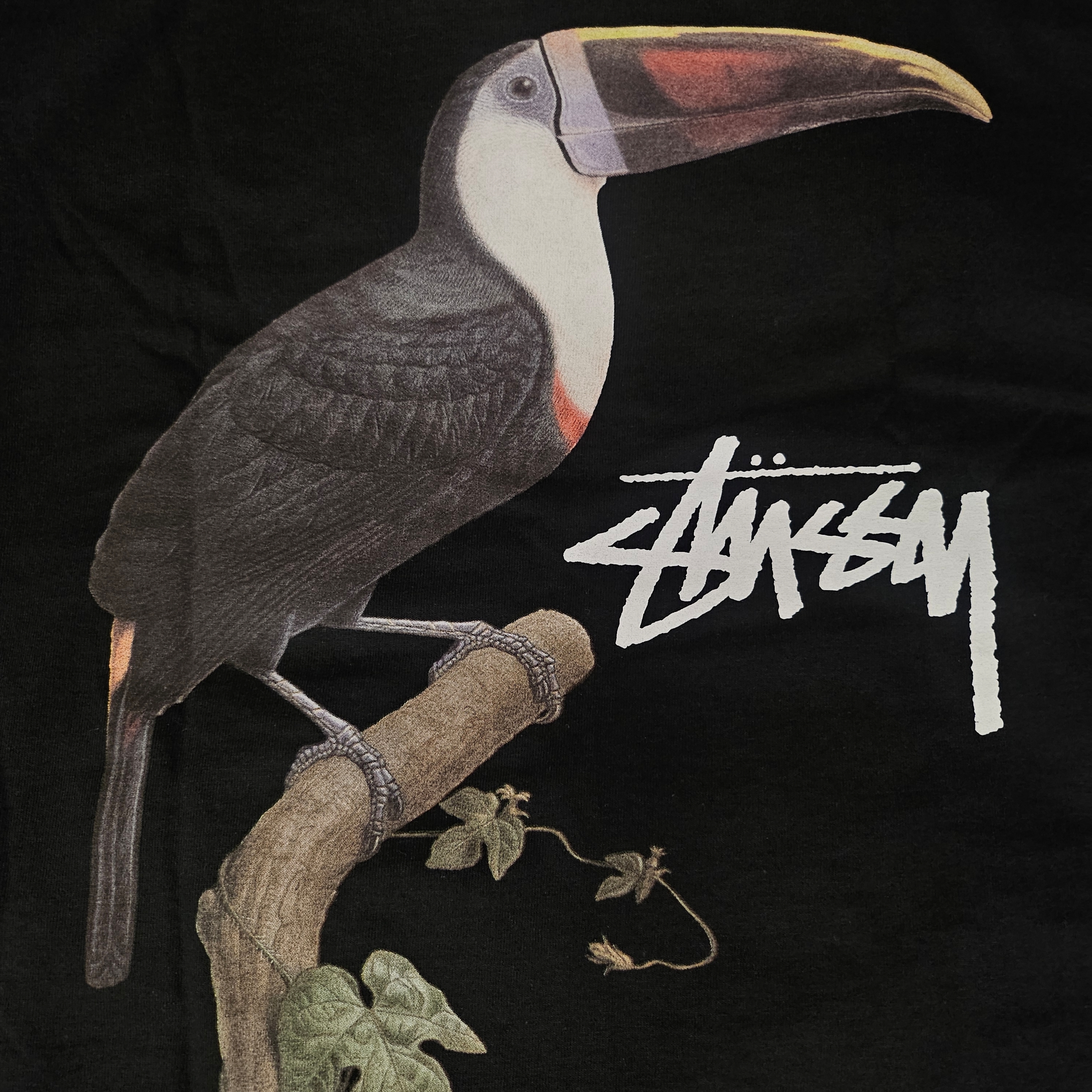 Stussy Toucan T-Shirt Black 착용 스타일