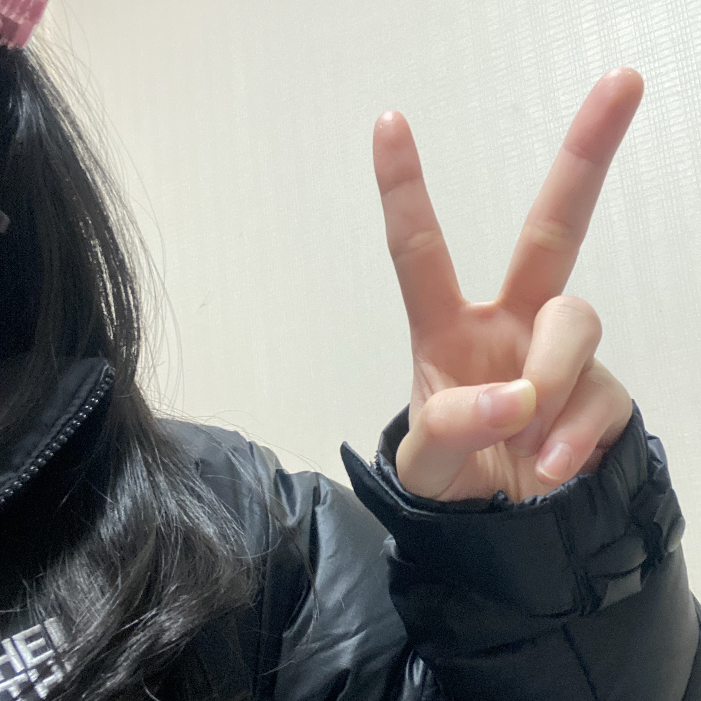 The North Face 1996 Eco Nuptse Jacket Black 착용 스타일