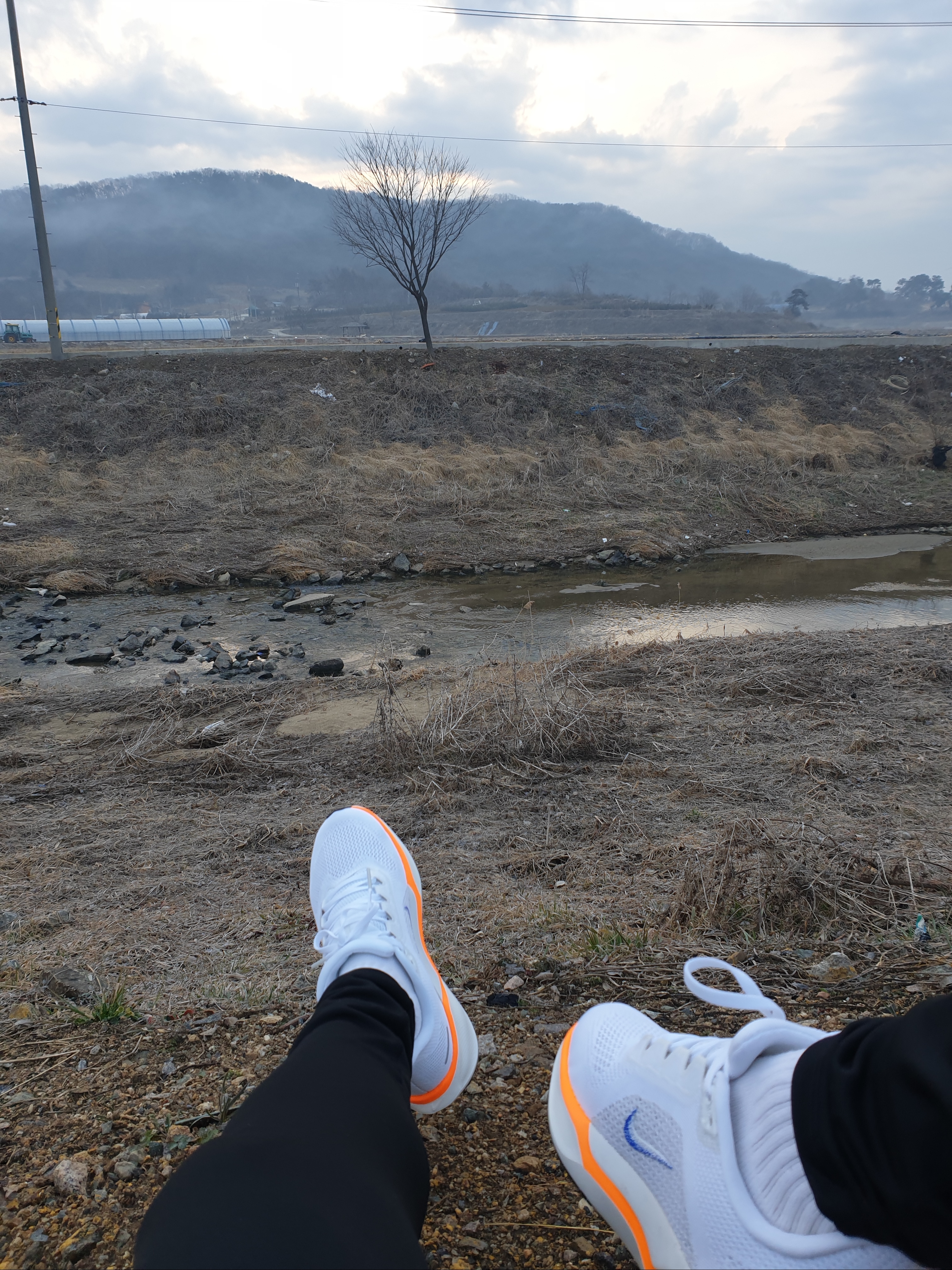 Nike Air Zoom Pegasus 41 Blueprint 착용 스타일 - 1