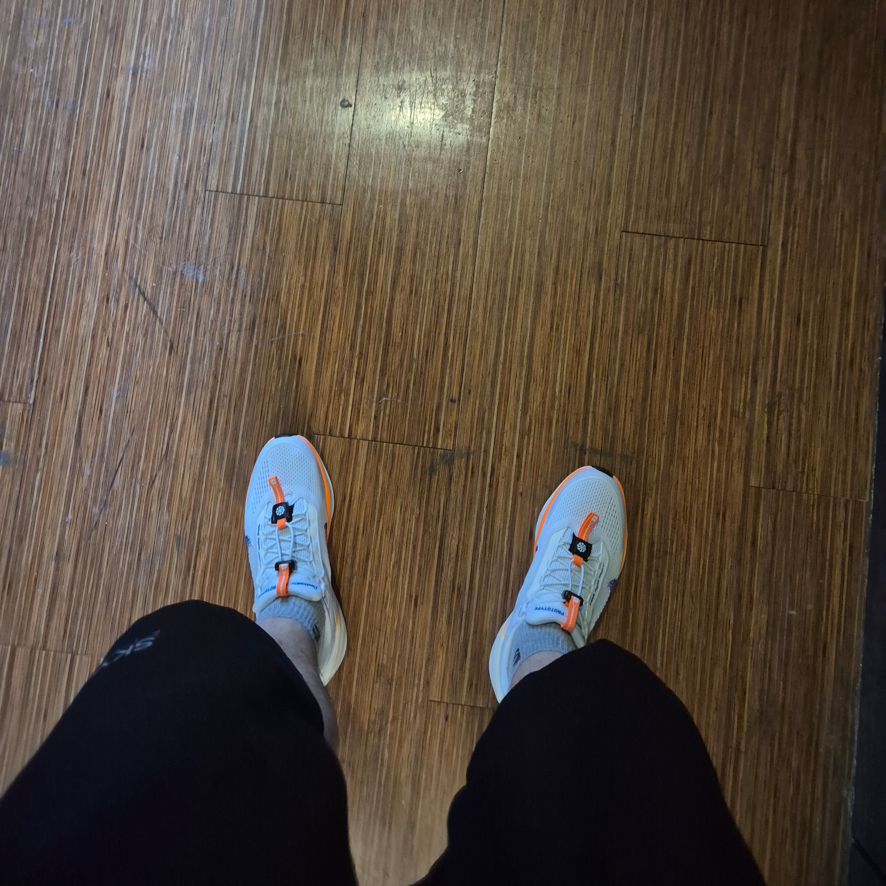 Nike Air Zoom Pegasus EasyOn Blueprint 착용 스타일