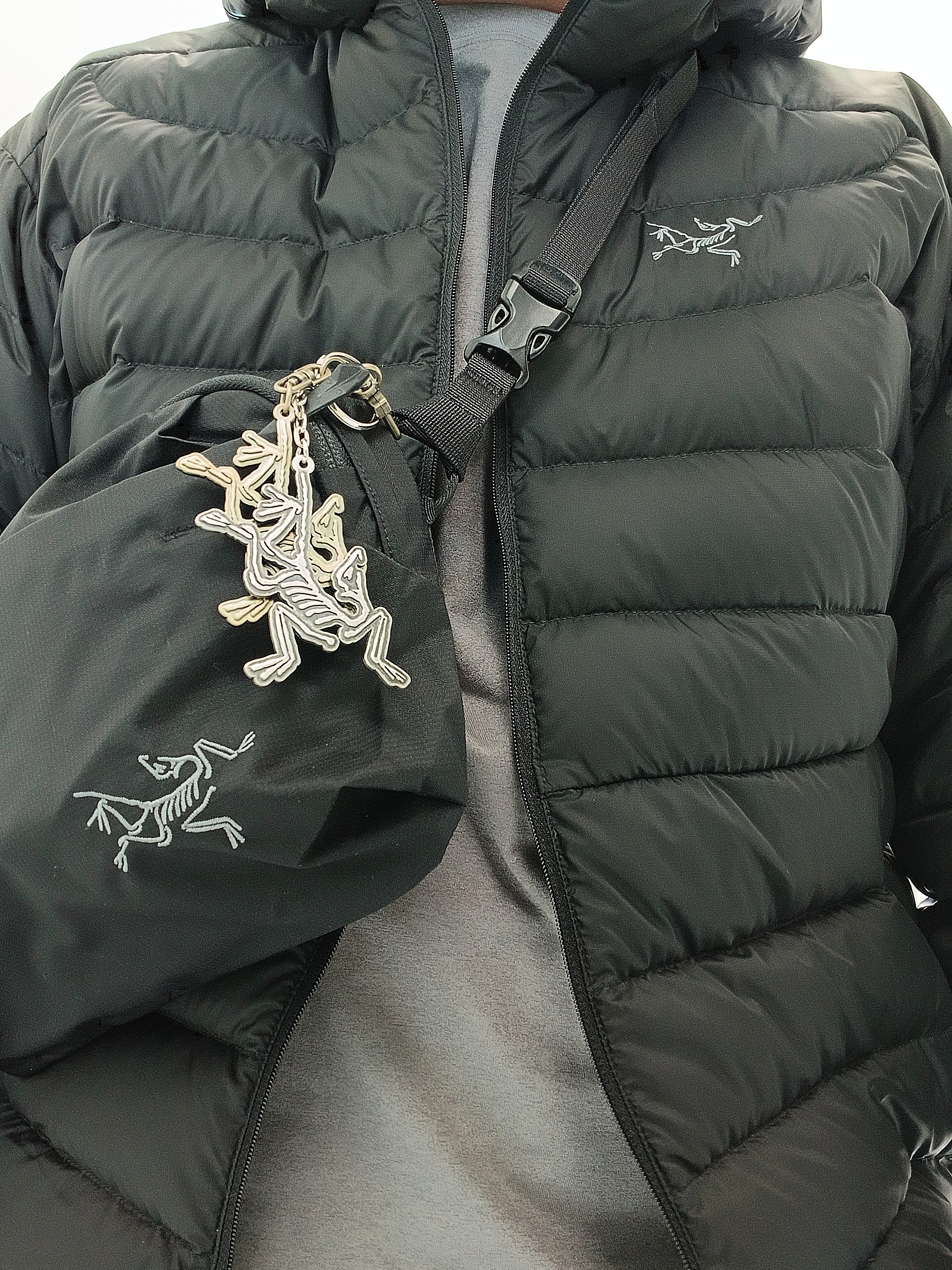 Arc'teryx Heliad 6 Crossbody Bag Black, Arc'teryx Keyring Metal 착용 스타일 - 4