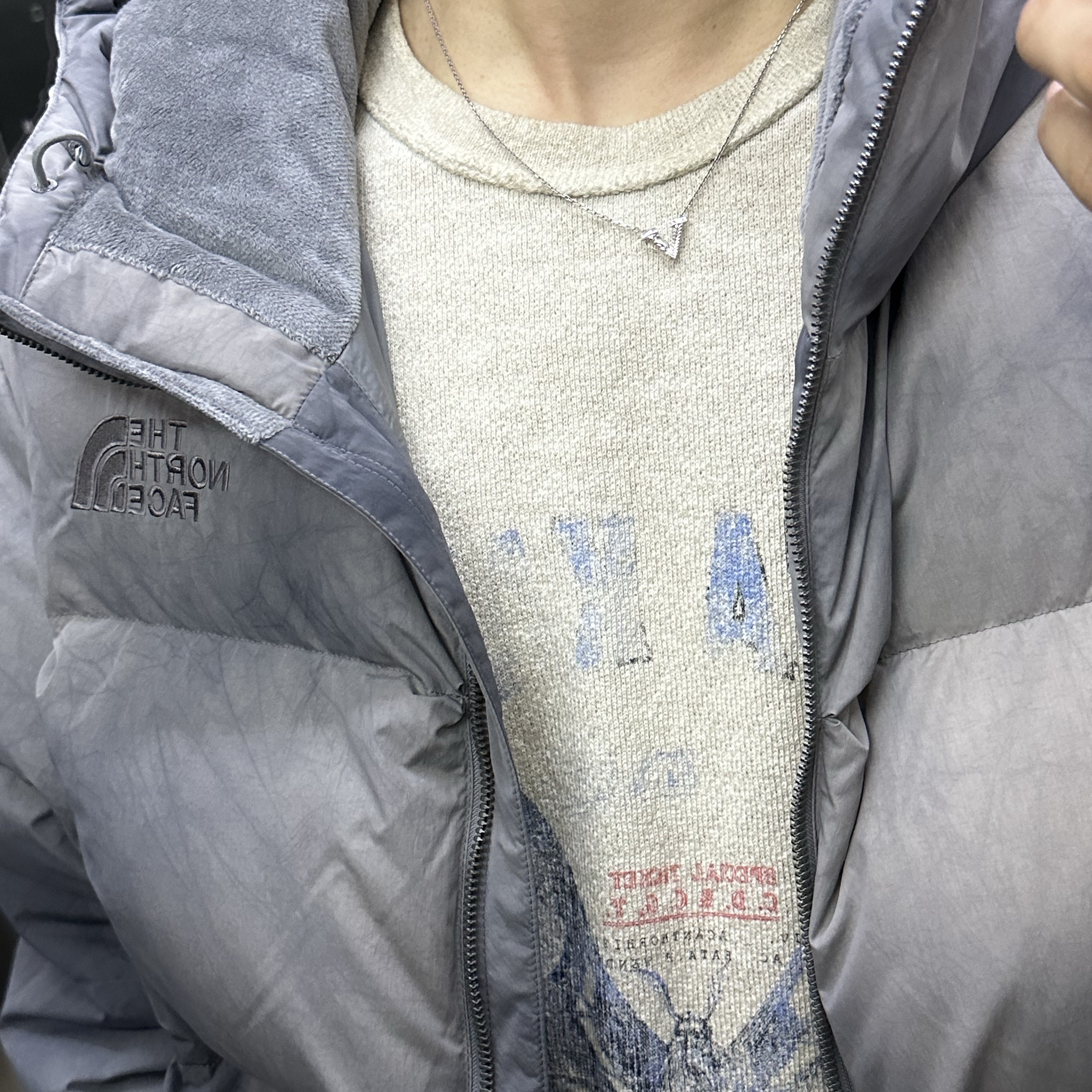 The North Face Dyeing Free Move RDS Down Jacket Gray 착용 스타일