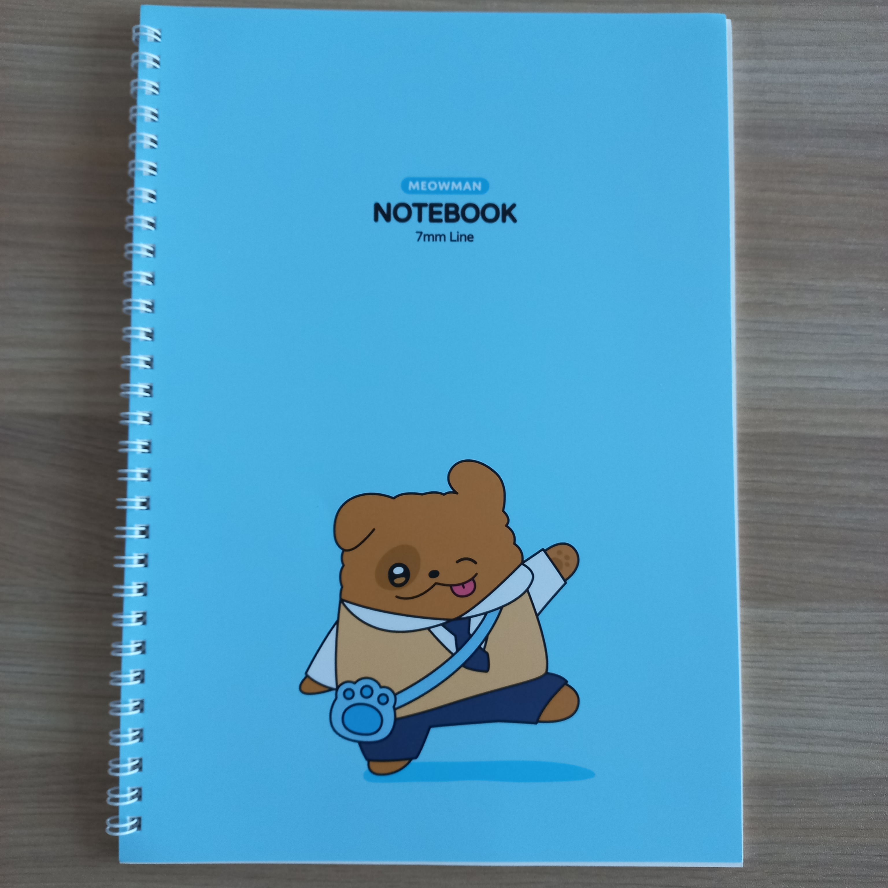 Meow Man B5 Spring Note MyeongrangEzi 착용 스타일 - 3