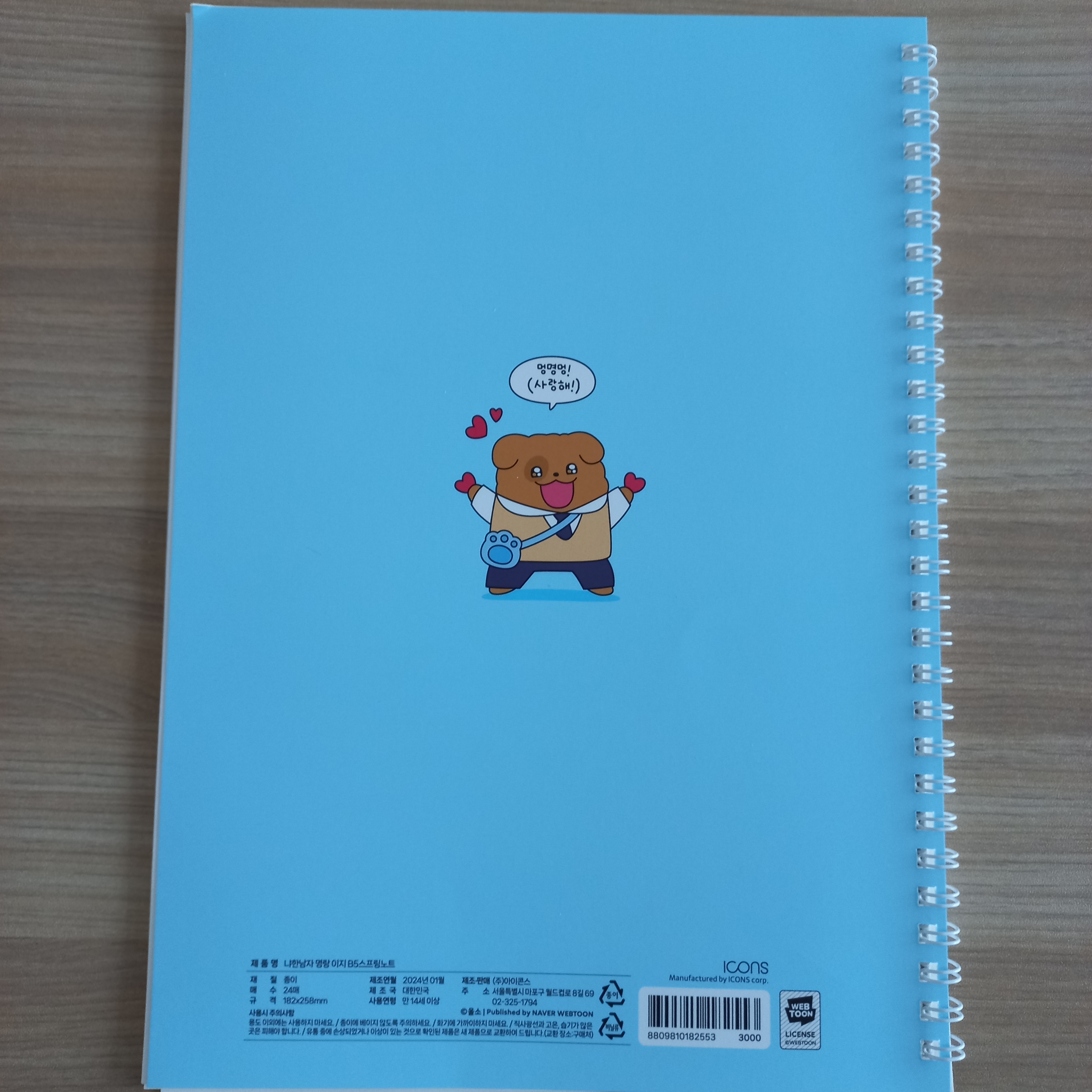 Meow Man B5 Spring Note MyeongrangEzi 착용 스타일 - 1