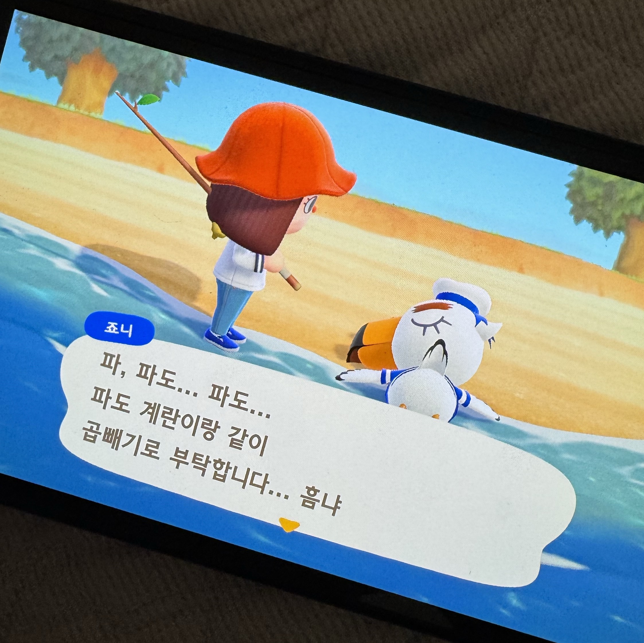 Nintendo Switch Animal Crossing: New Horizons (Korean Ver.) 착용 스타일