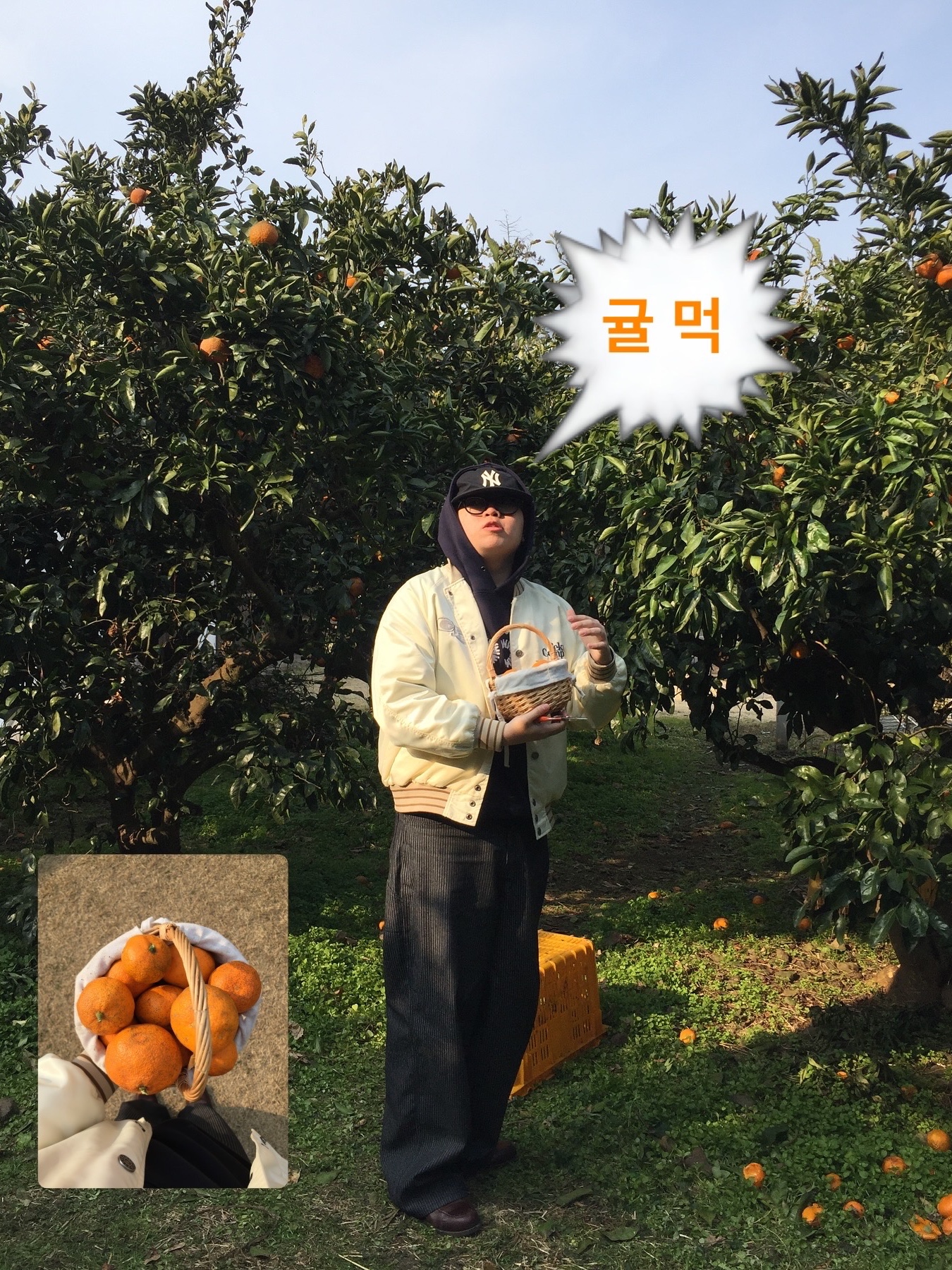 조셉트 모건 브라운, 조셉트 모건 블랙 착용 스타일 - 2