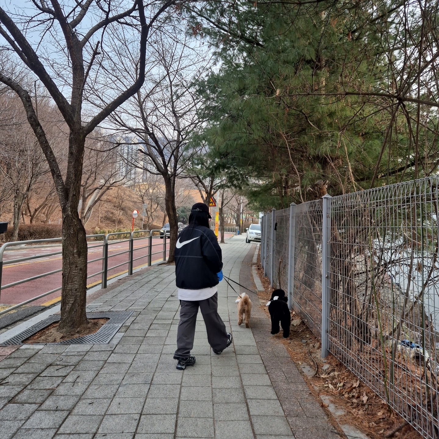 Supreme x Nike Ripstop Pullover Black - 24SS, Salomon XT-6 GTX Black Silver 착용 스타일