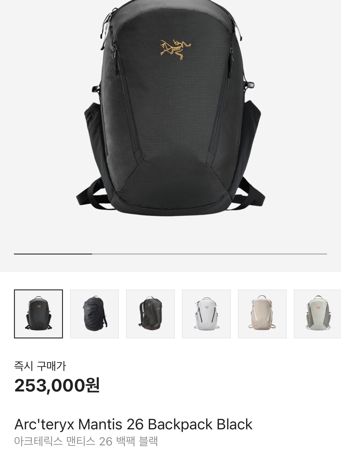 Arc'teryx Mantis 26 Backpack Black 착용 스타일