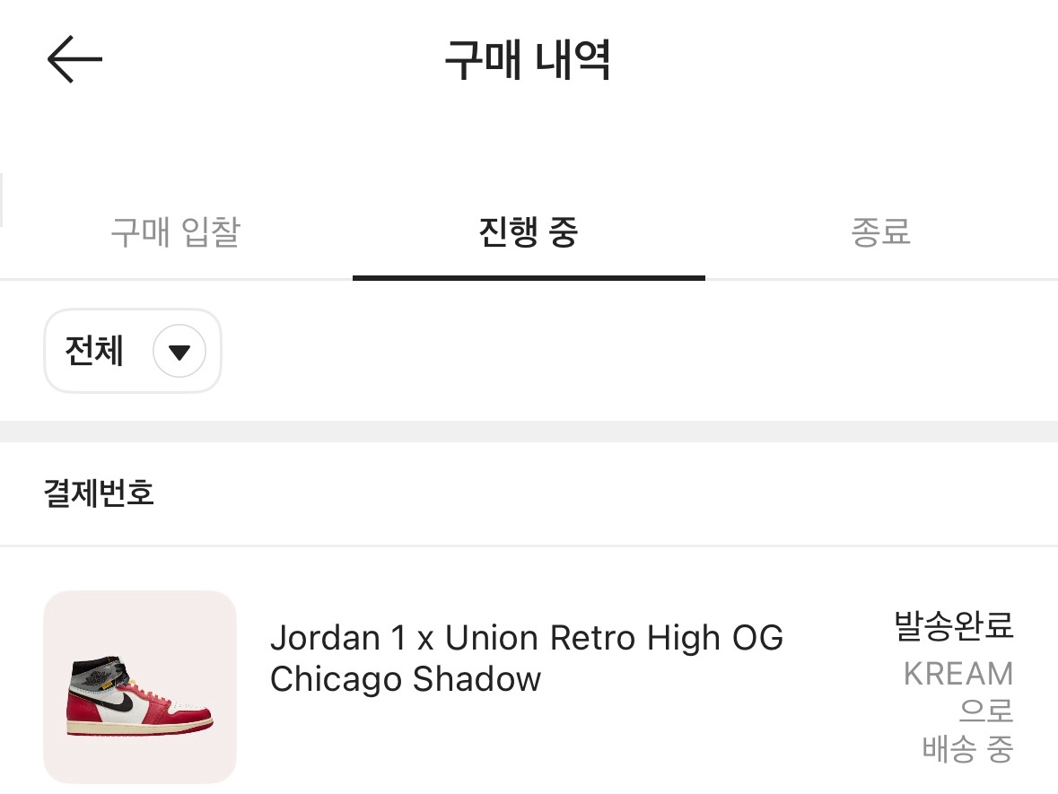 Jordan 1 x Union Retro High OG Chicago Shadow 착용 스타일