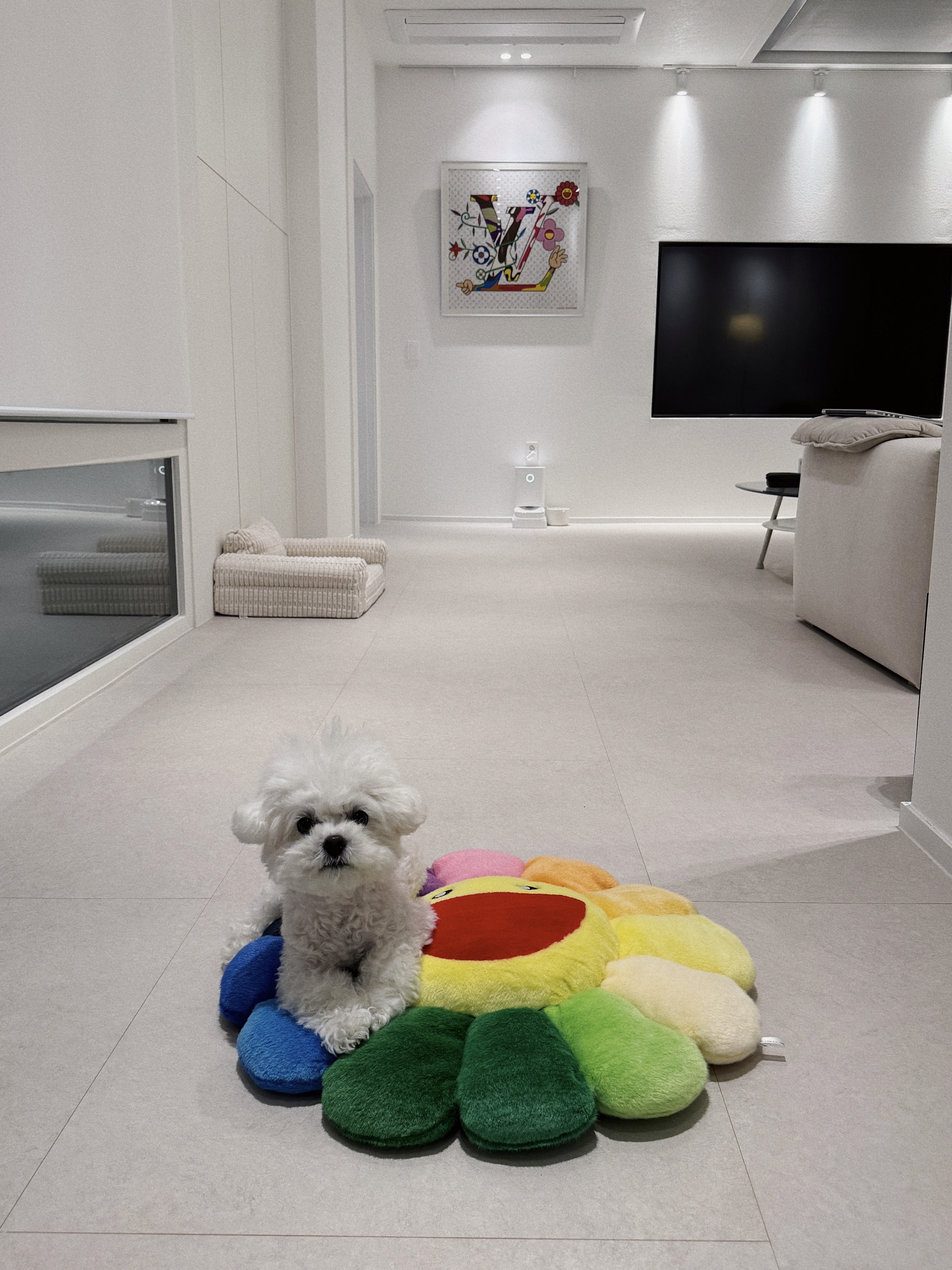 Louis Vuitton x Murakami Takashi Monogram Superflat Square 90 White, Kaikai Kiki Flower Cushion 60cm Rainbow 착용 스타일 - 2