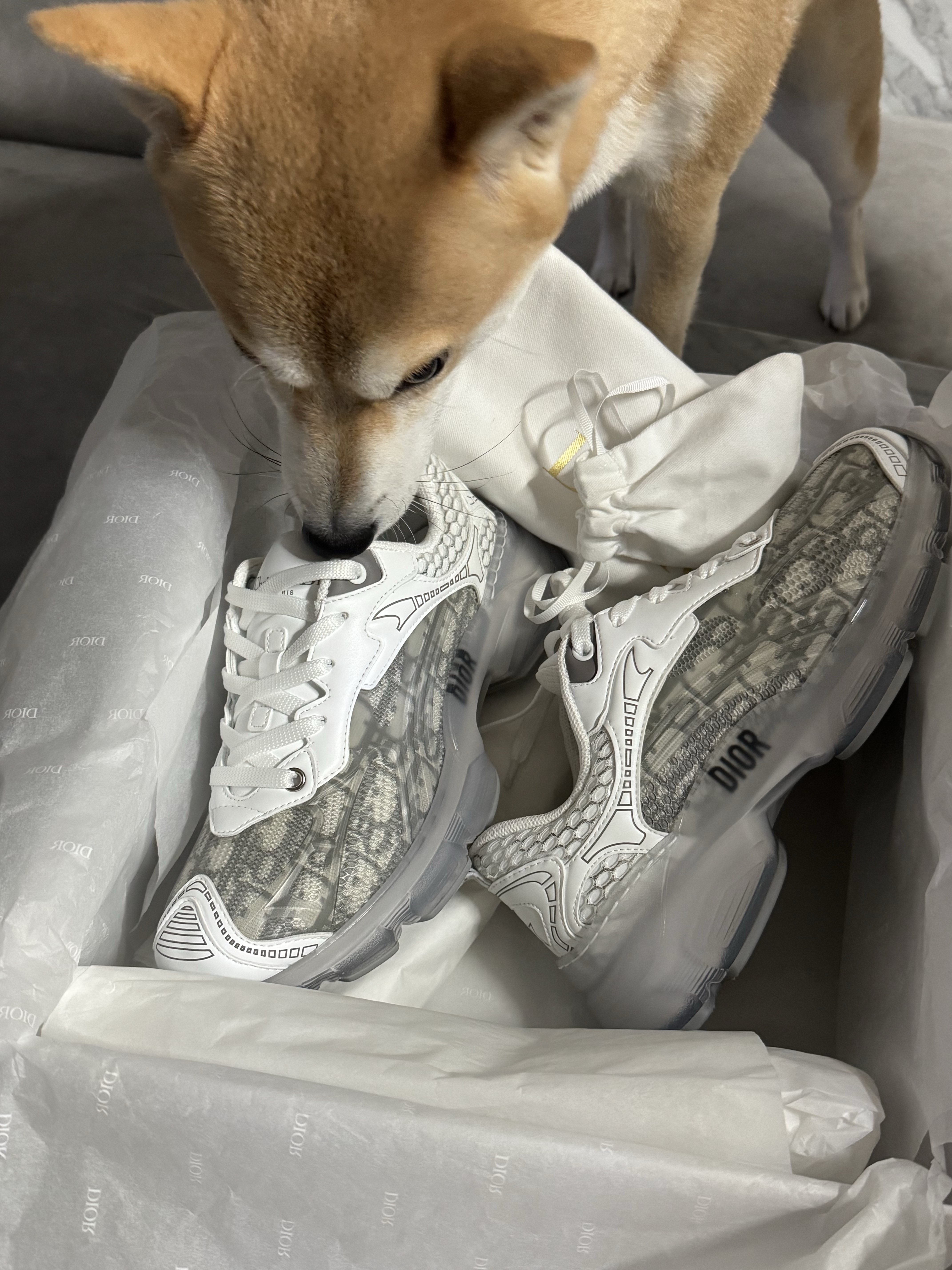 (W) Dior Vibe Sneaker Gray Oblique Transparent Rubber, Dior Mini Book Tote with Strap Macrocannage Calfskin Black 착용 스타일 - 1