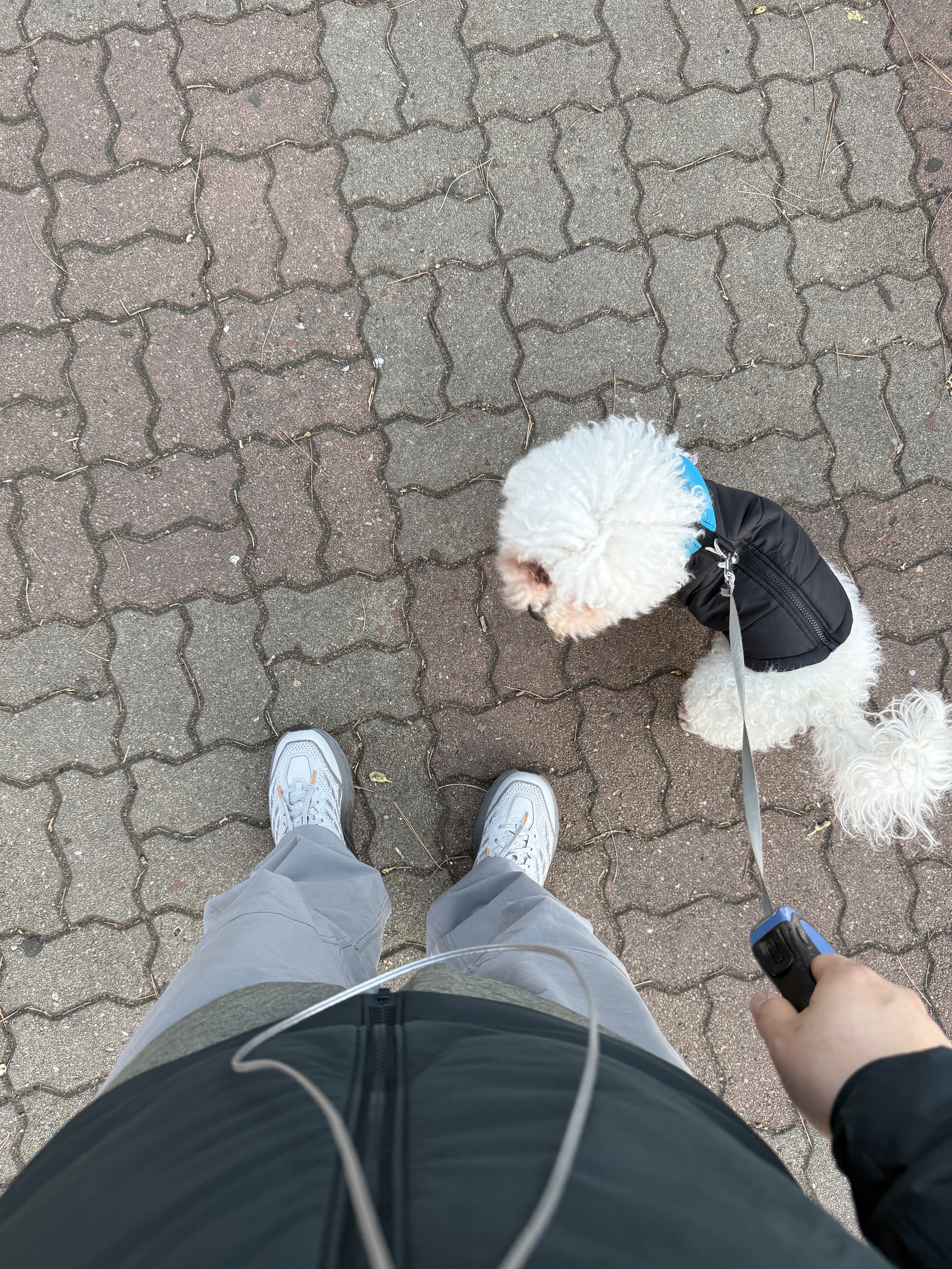 Arc'teryx Cronin Cotton Pants Void, Hoka Speedgoat 5 White Black 착용 스타일