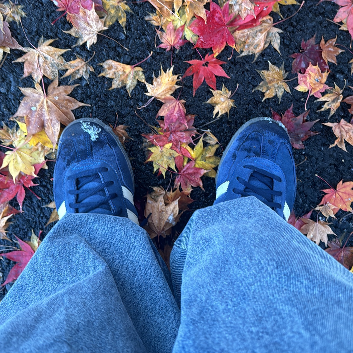 Adidas Spezial Handball Night Indigo 착용 스타일