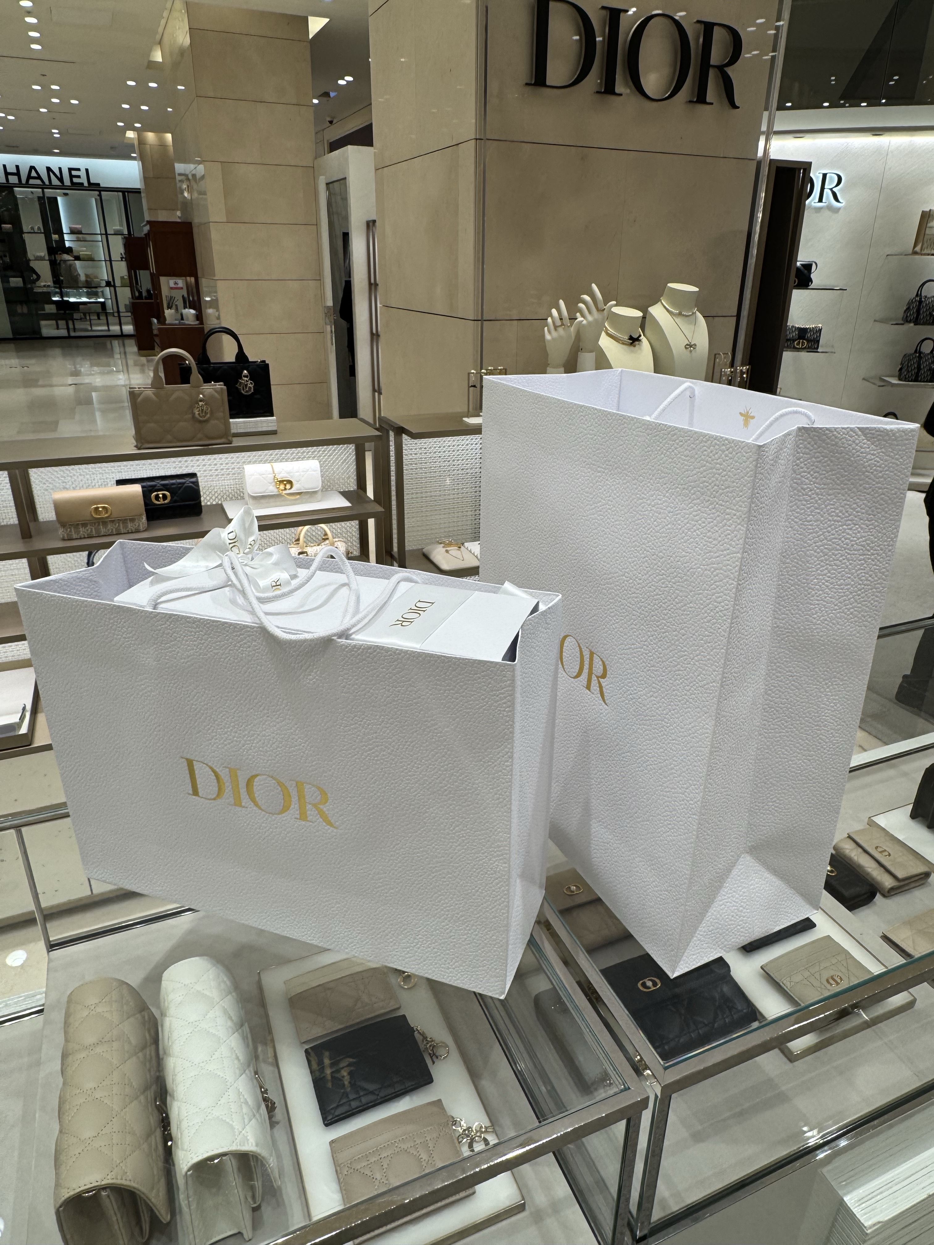 (W) Dior Vibe Sneaker Gray Oblique Transparent Rubber, Dior Mini Book Tote with Strap Macrocannage Calfskin Black 착용 스타일 - 3