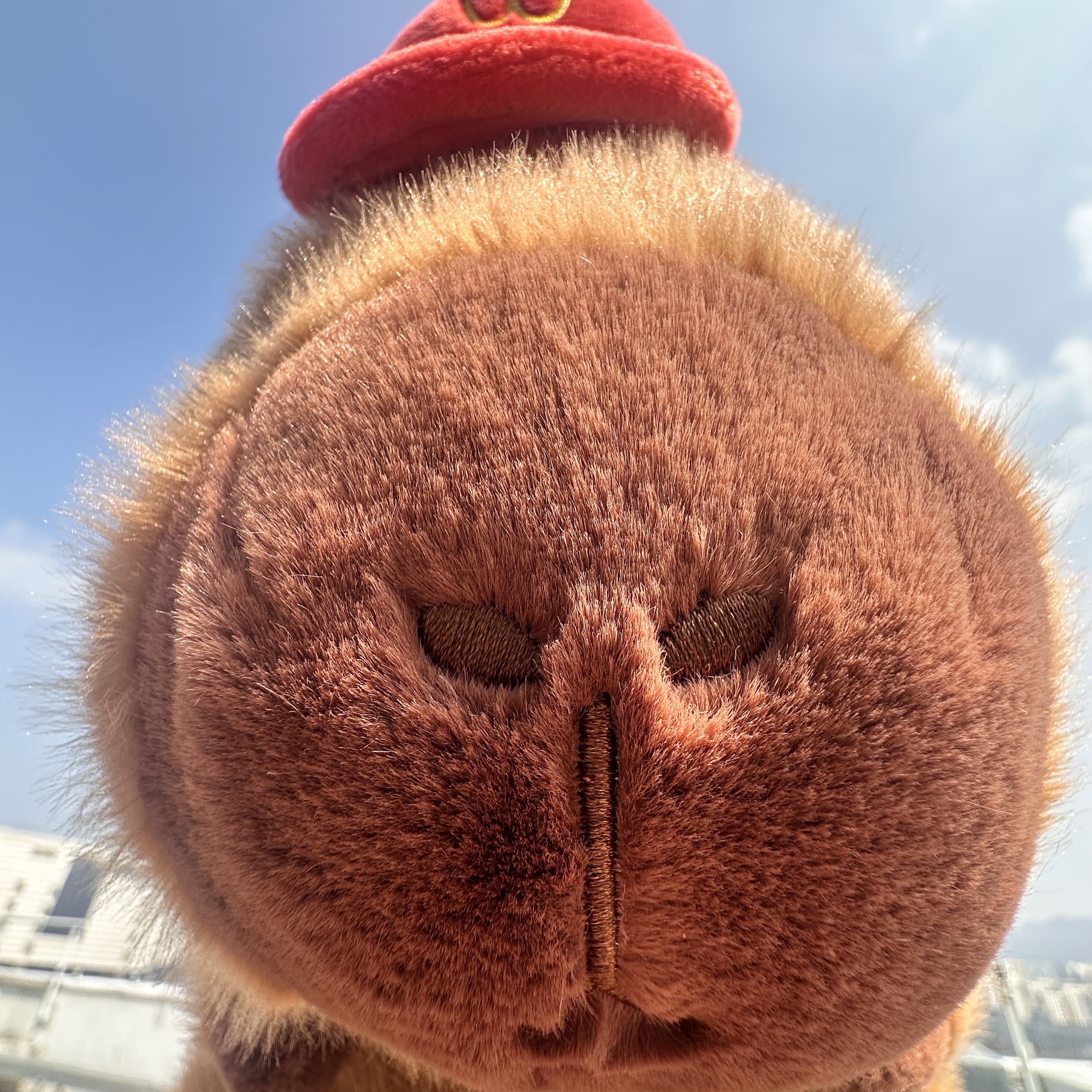 The Green Party Capybara Salesman Plush Doll Brown 착용 스타일