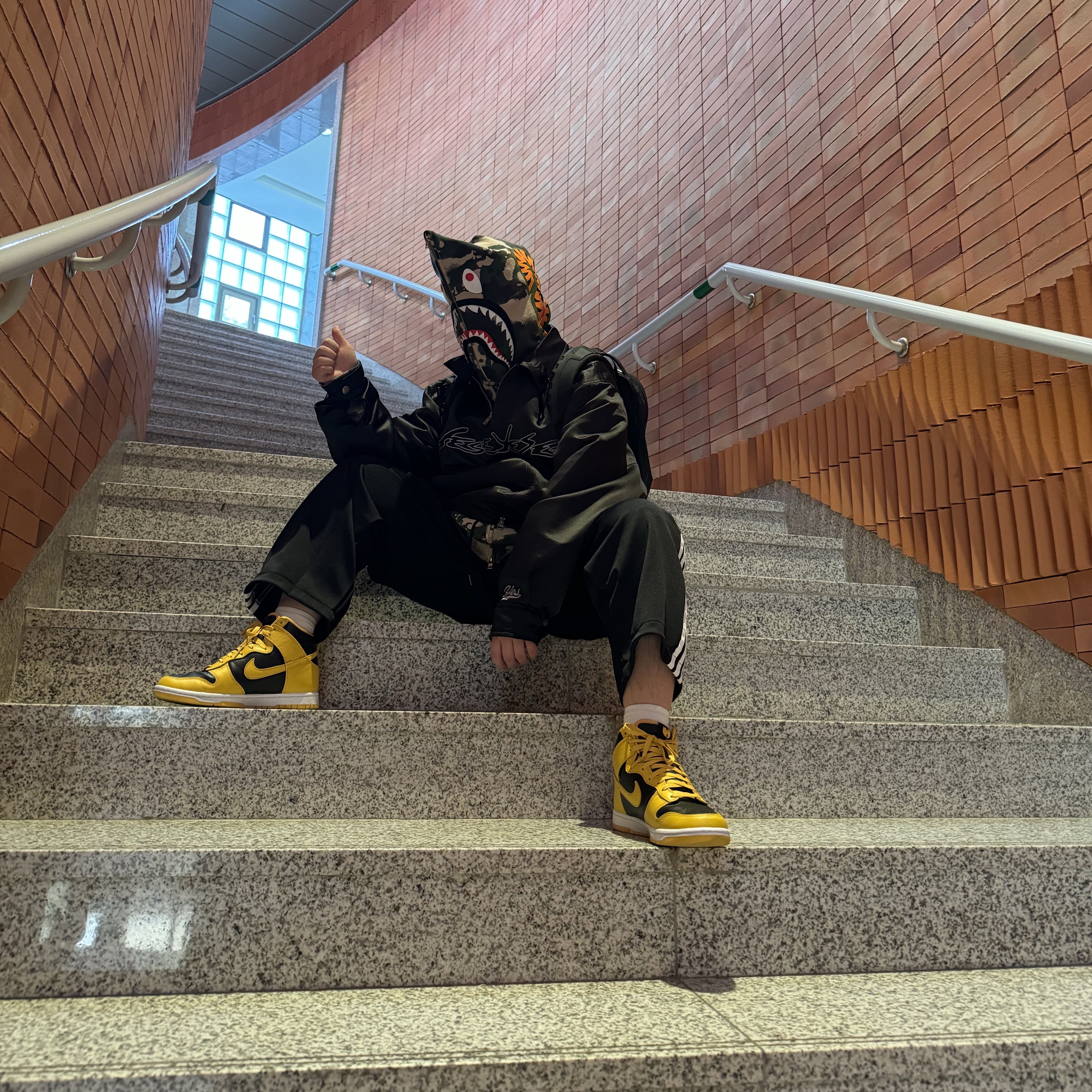 Nike Wu-Tang Clan Dunk High Black and Pollen, BAPE Map Camo Shark Relaxed Fit Full Zip Hoodie Green 착용 스타일