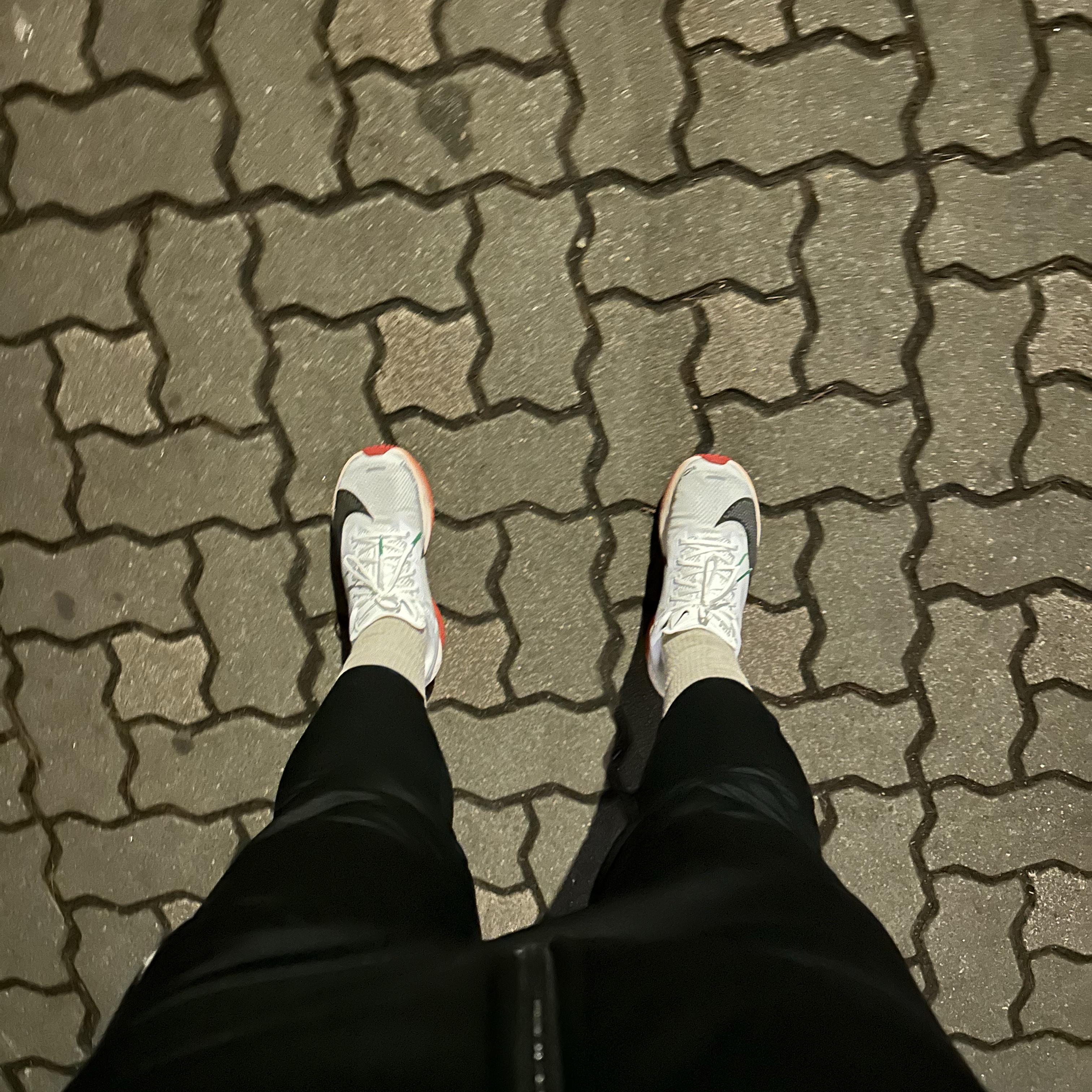 Nike Zoom Fly 6 Eliud Kipchoge 착용 스타일