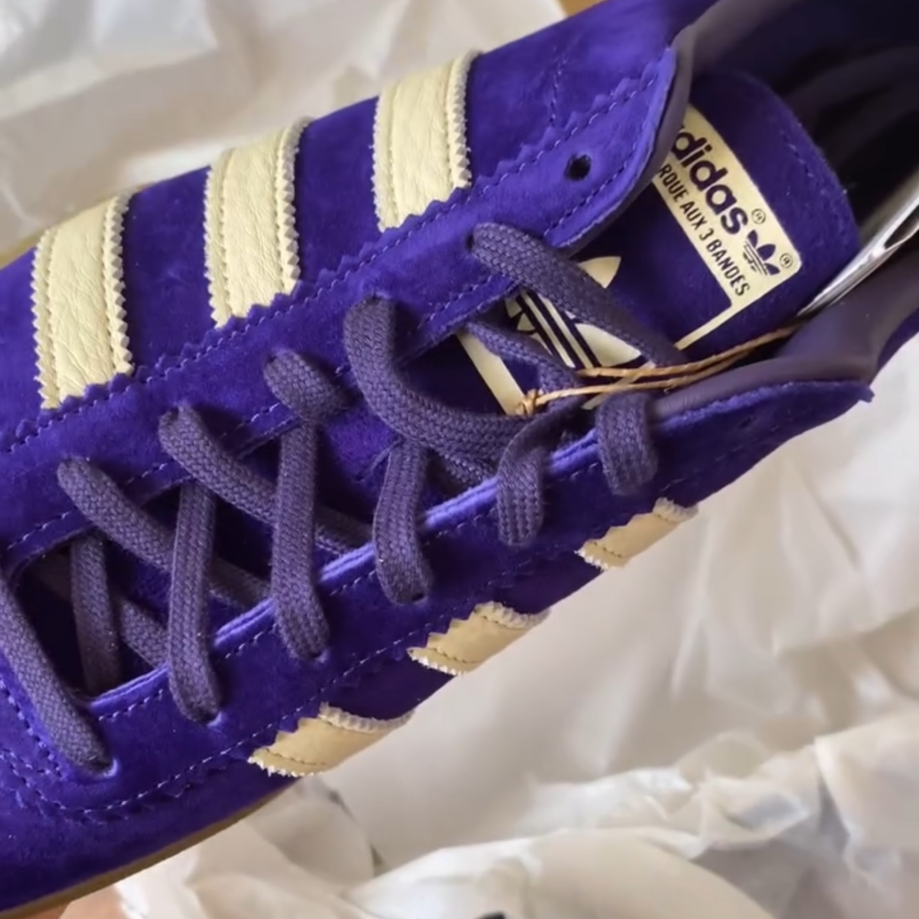 Adidas Bermuda College Purple Cream White 착용 스타일