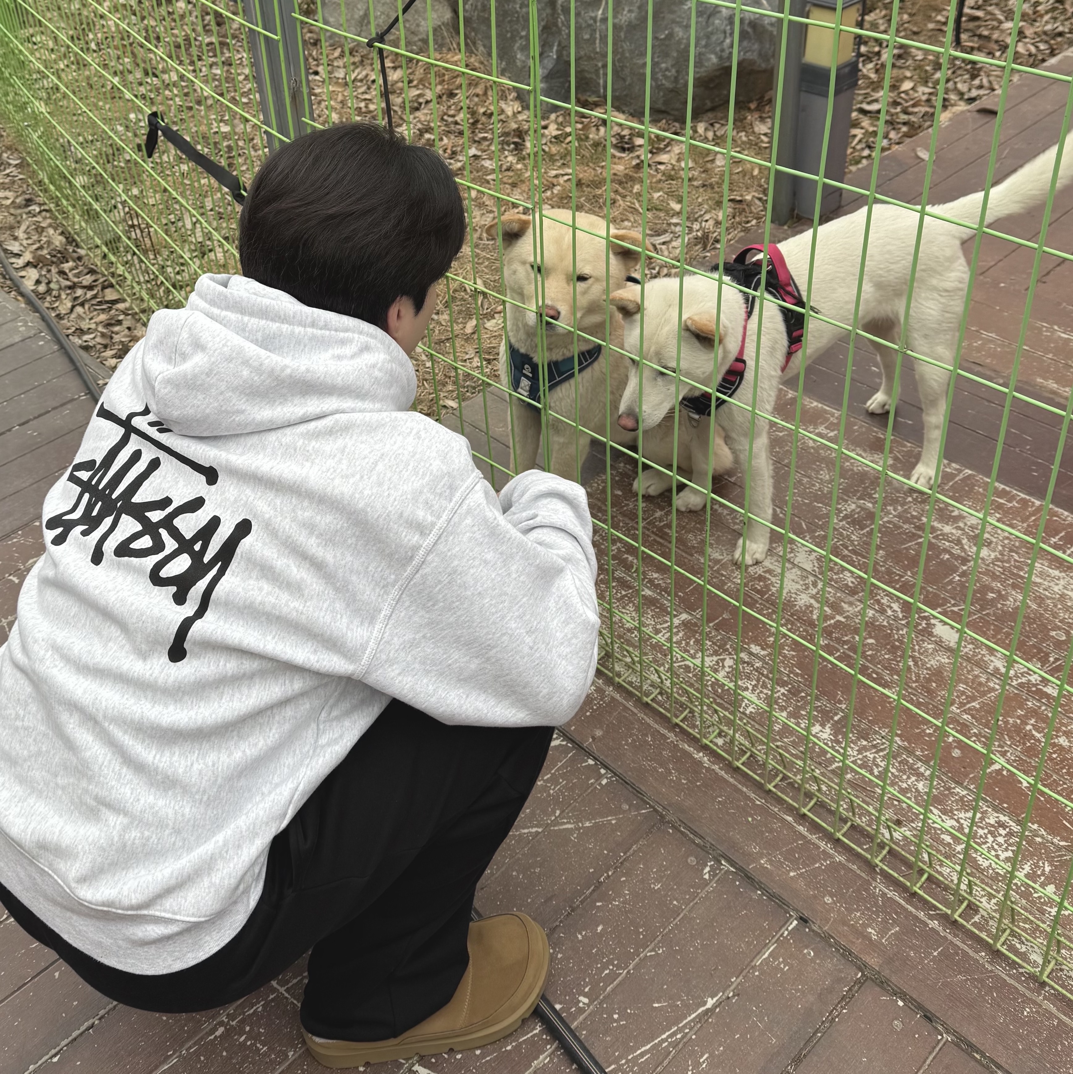 Stussy Basic Stussy Zip Hoodie Ash Heather 착용 스타일