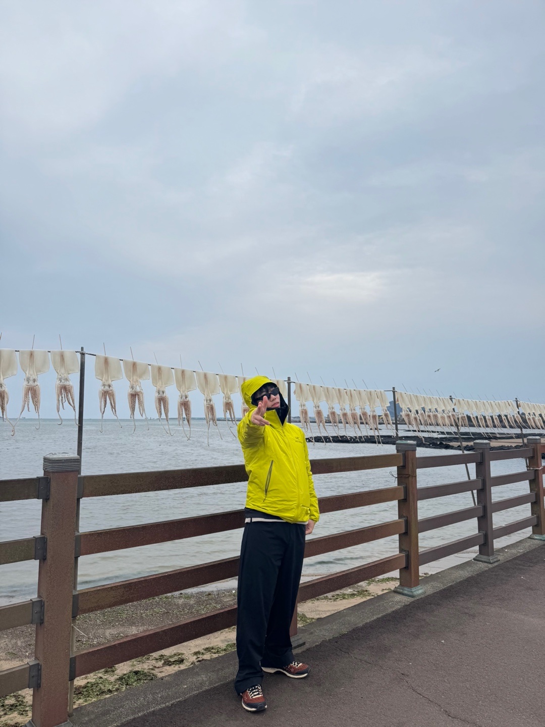 Arc'teryx Atom Hoody Black, Arc'teryx Beta Jacket Offlime 착용 스타일 - 5