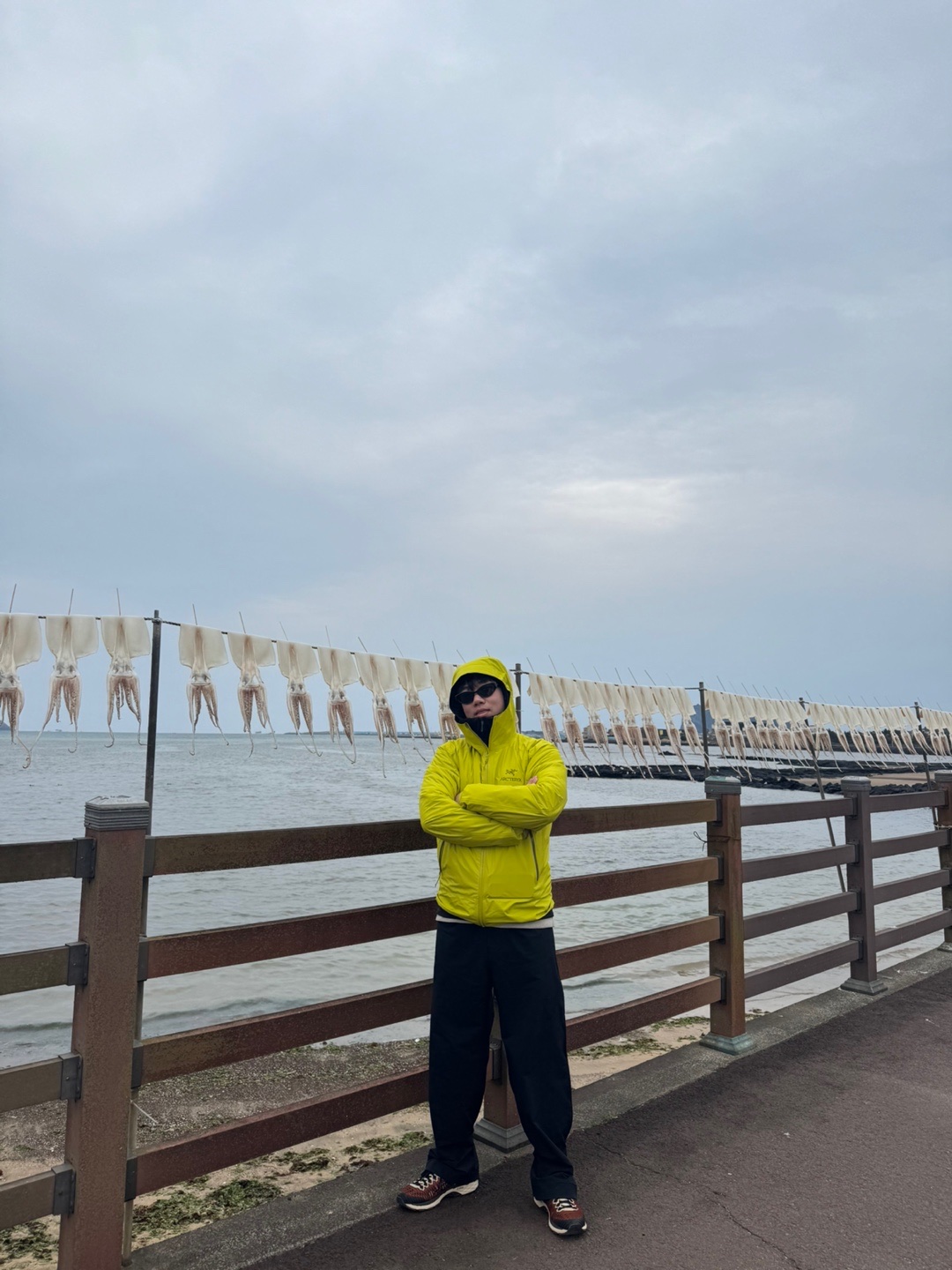 Arc'teryx Atom Hoody Black, Arc'teryx Beta Jacket Offlime 착용 스타일 - 6