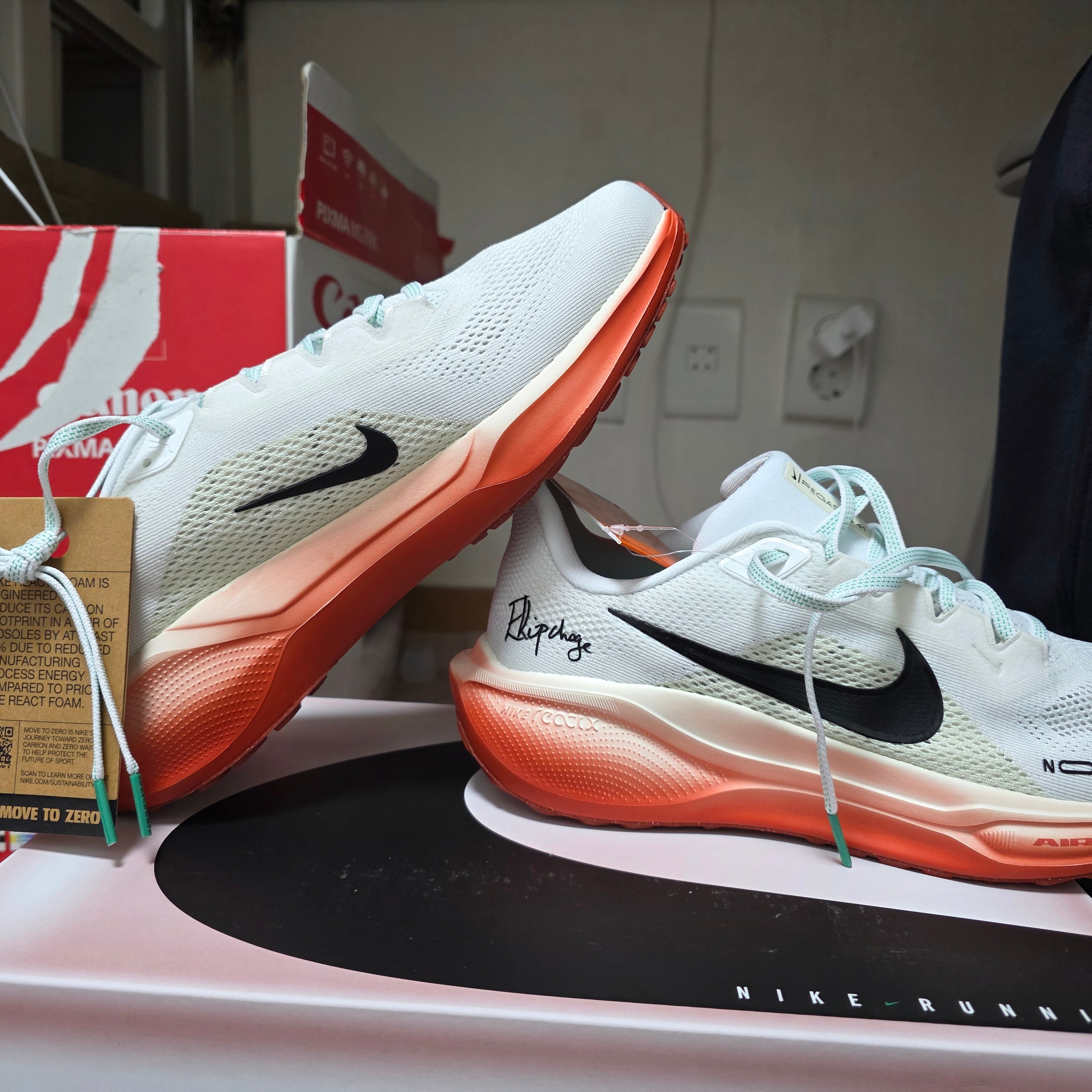 Nike Pegasus 41 Eliud Kipchoge 착용 스타일